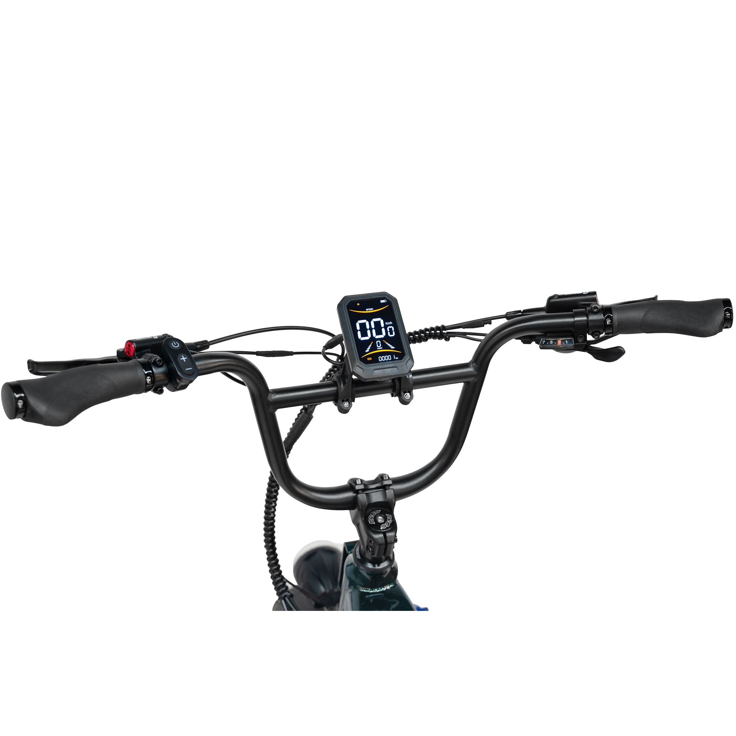 Maxtron Camel Bicicletta Elettrica per Adulti, 48V 18AH
