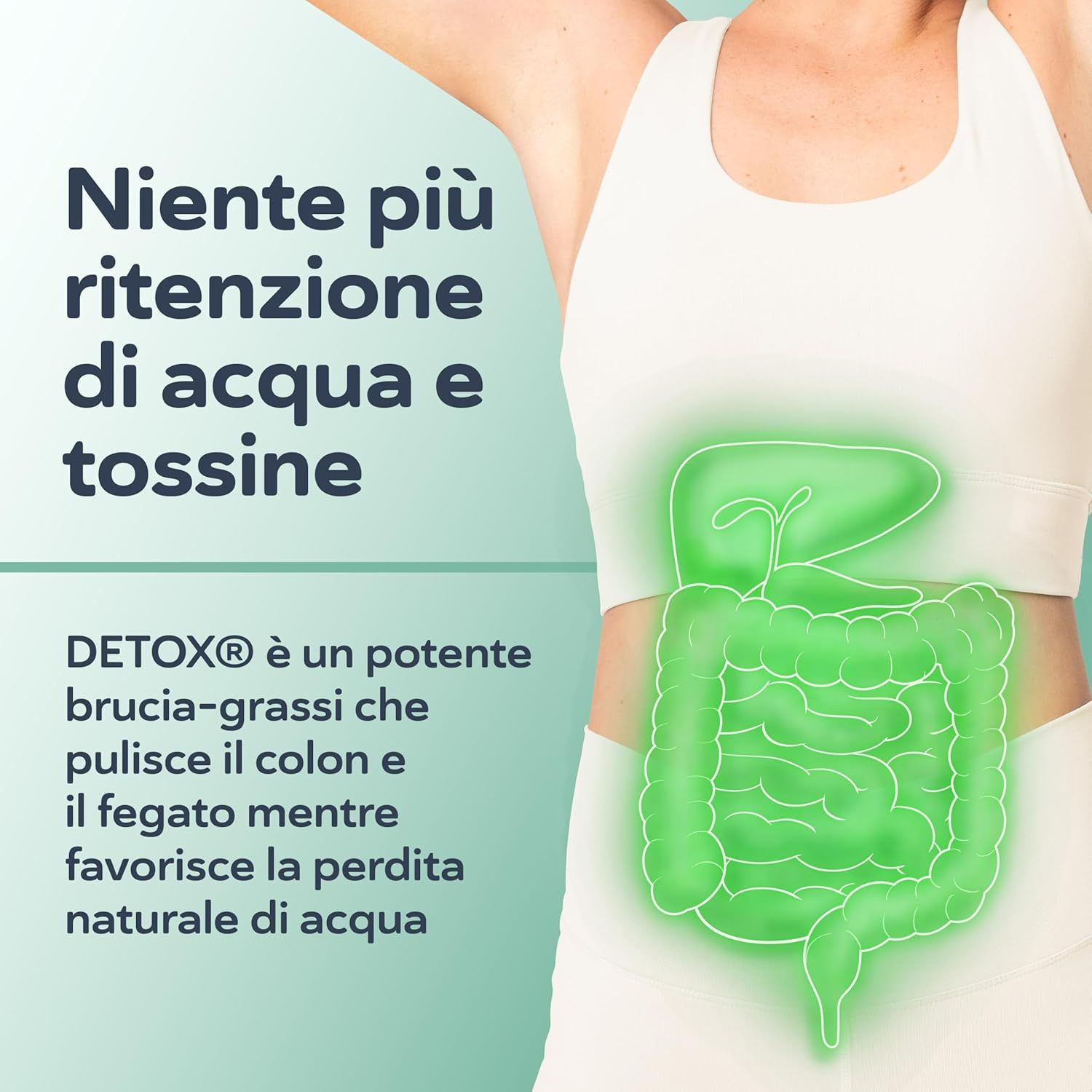 Grafica del sistema digestivo. Testo: Niente più ritenzione idrica e tossine.