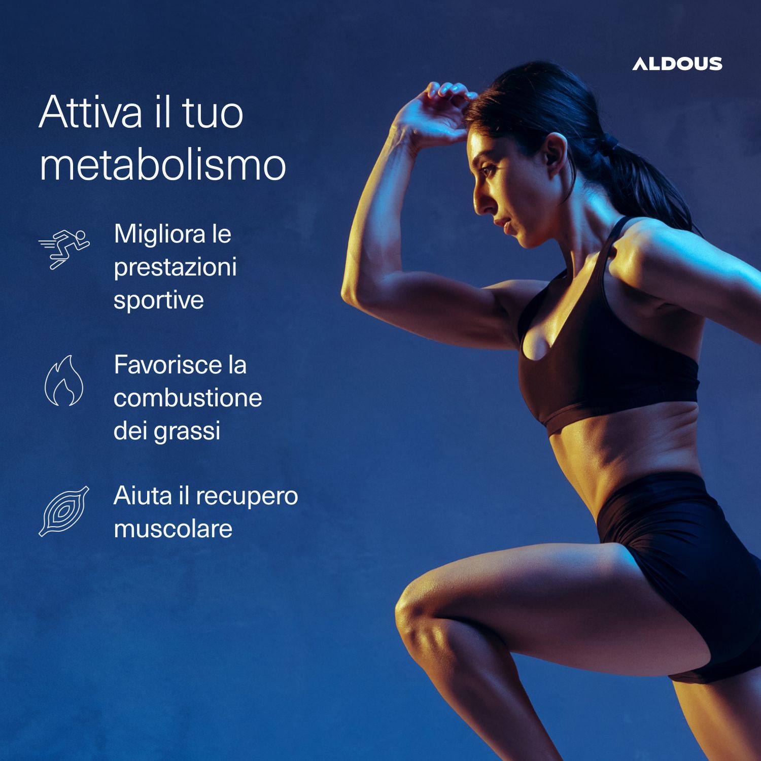 Aldous - L Carnitina - Energia, Recupero