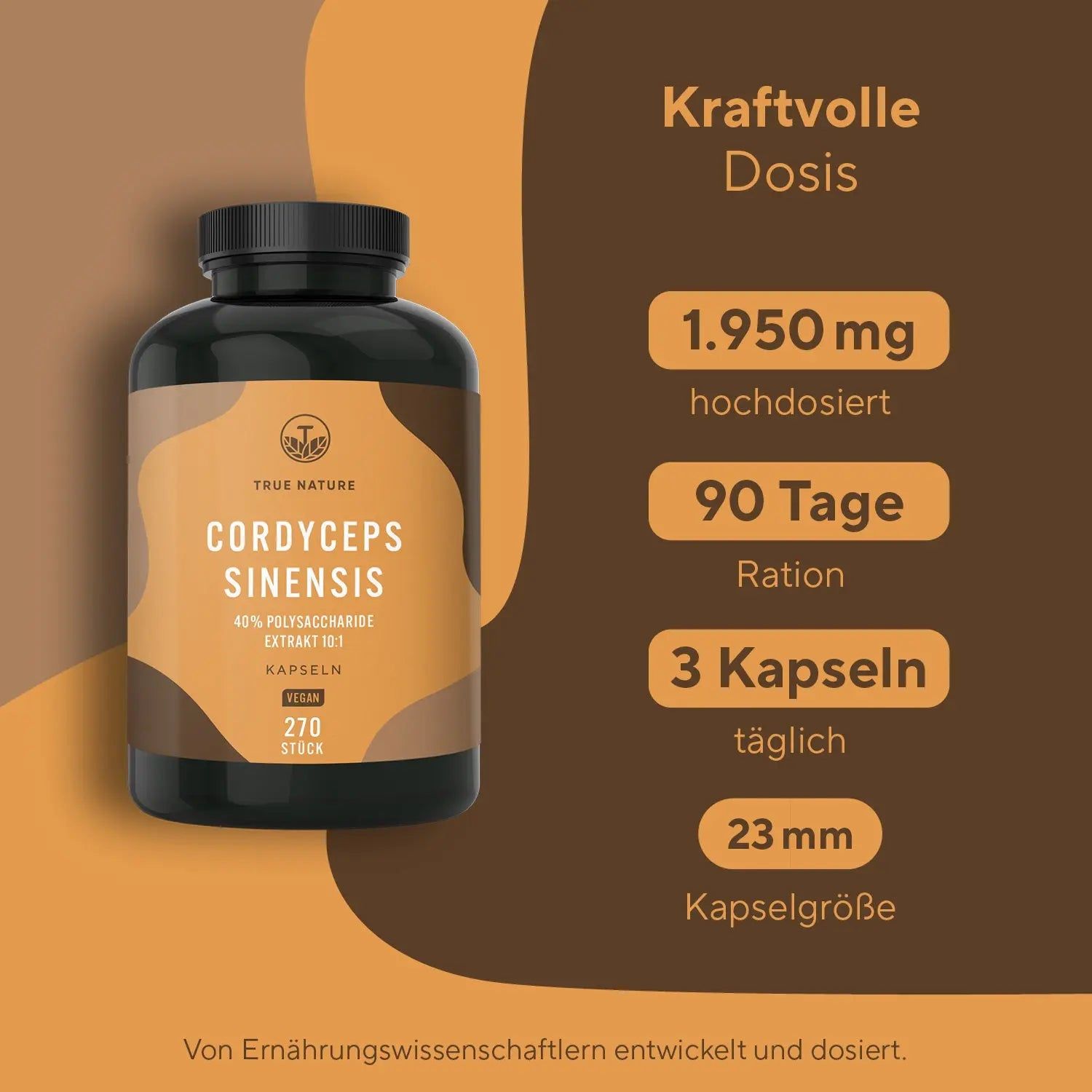 TRUE NATURE® Cordyceps Sinensis Capsule