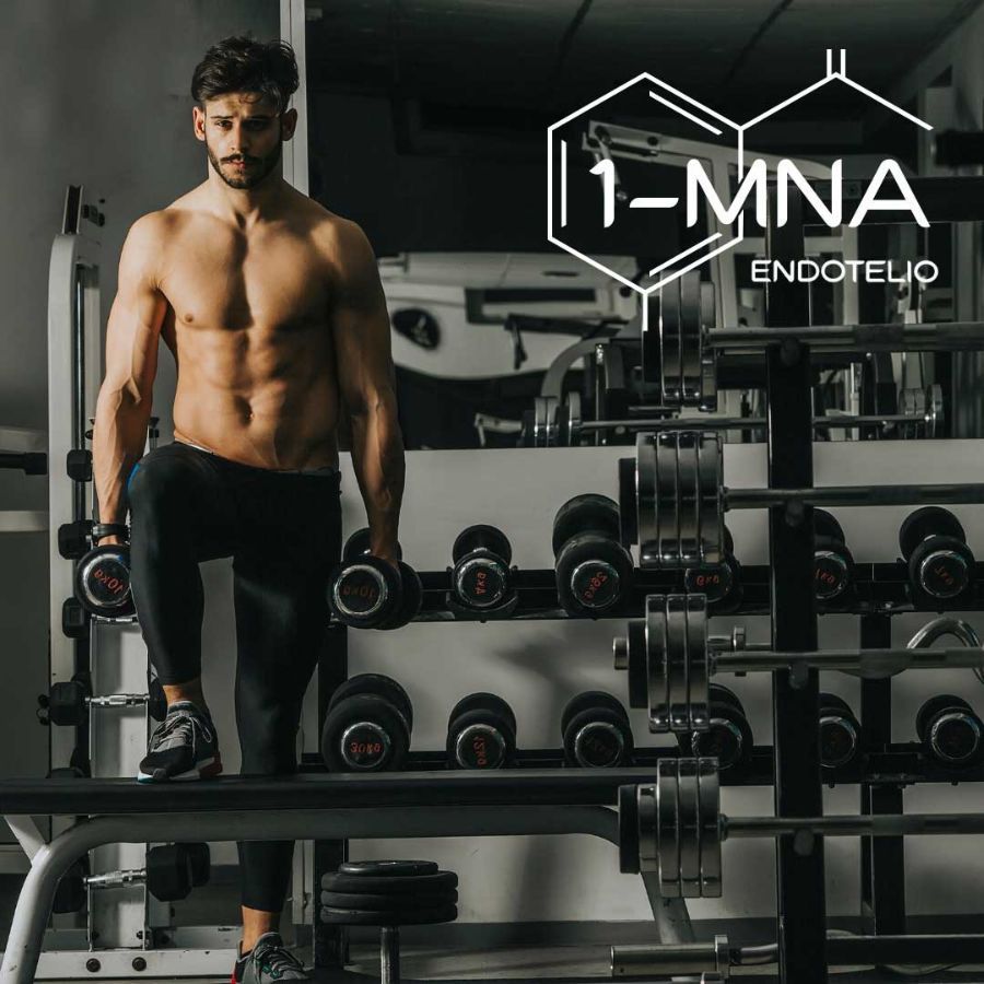 Uomo in palestra. Logo: 1-MNA Endotelio. L'uomo tiene dei pesi. Contesto fitness.
