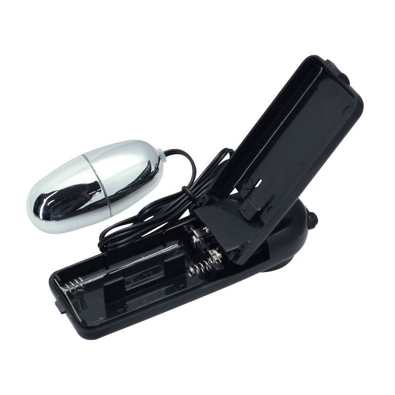 Vibratore a forma di uovo color argento e unità di controllo nera aperta. Vano batterie visibile.