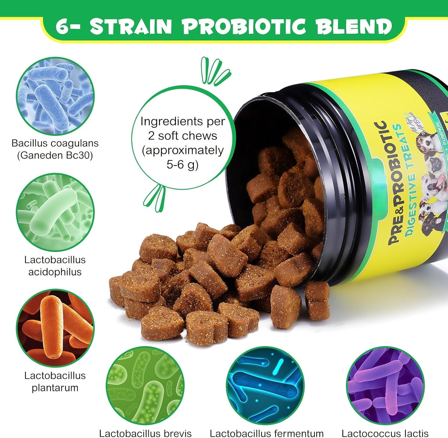 Contenitore di croccantini quadrati marroni. Scritta: Pre & Probiotic Digestive Treats. Diverse specie di batteri illustrate.