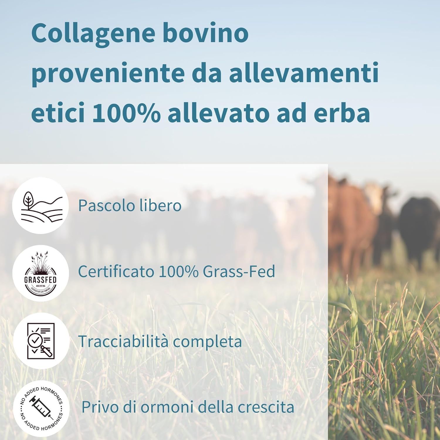 Mucche al pascolo. Testo: Collagene da allevamenti etici. 100% alimentato con erba. Senza ormoni della crescita.