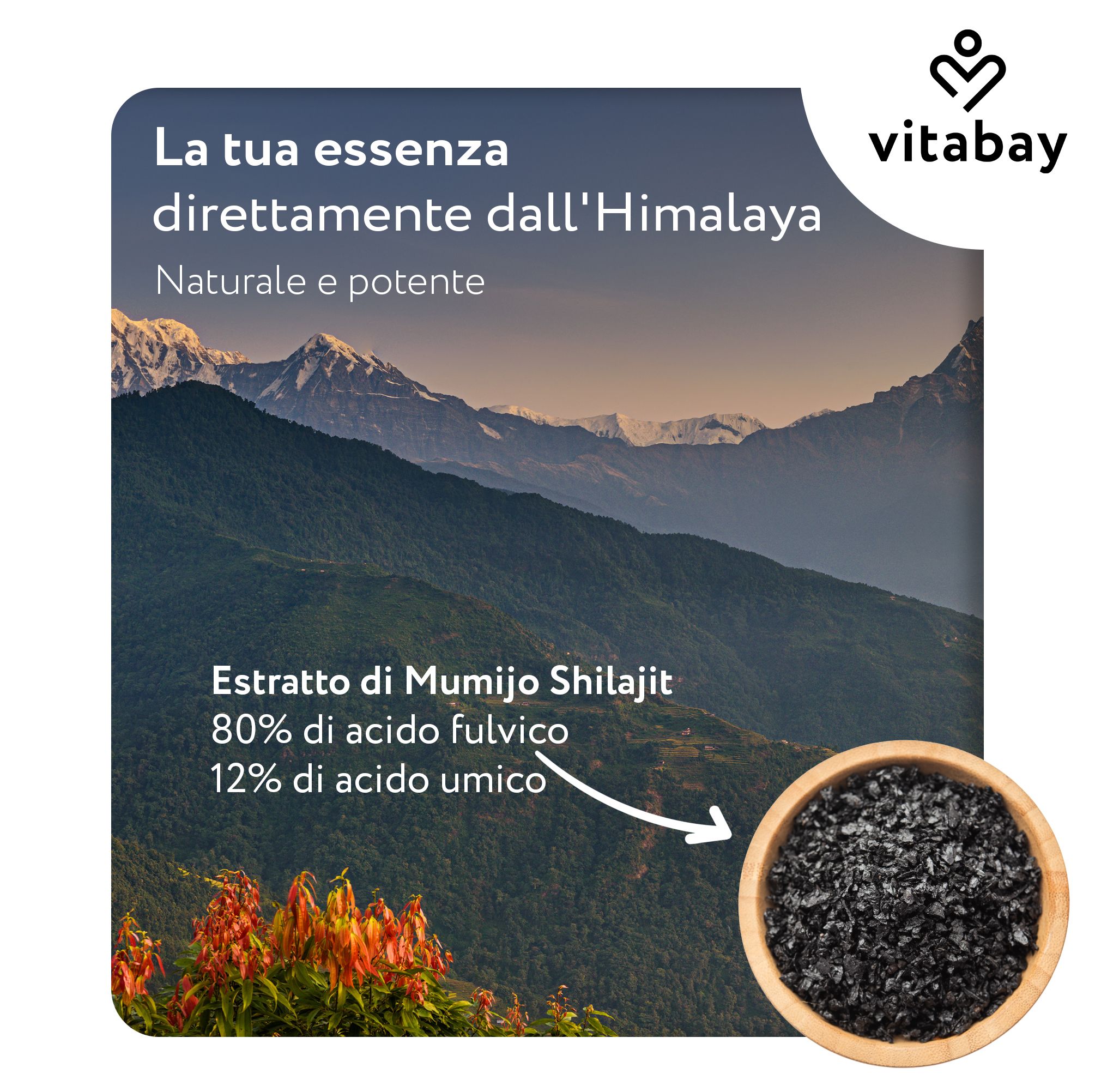 Paesaggio himalayano con estratto di Mumijo Shilajit, 80% acido fulvico, 12% acido umico.
