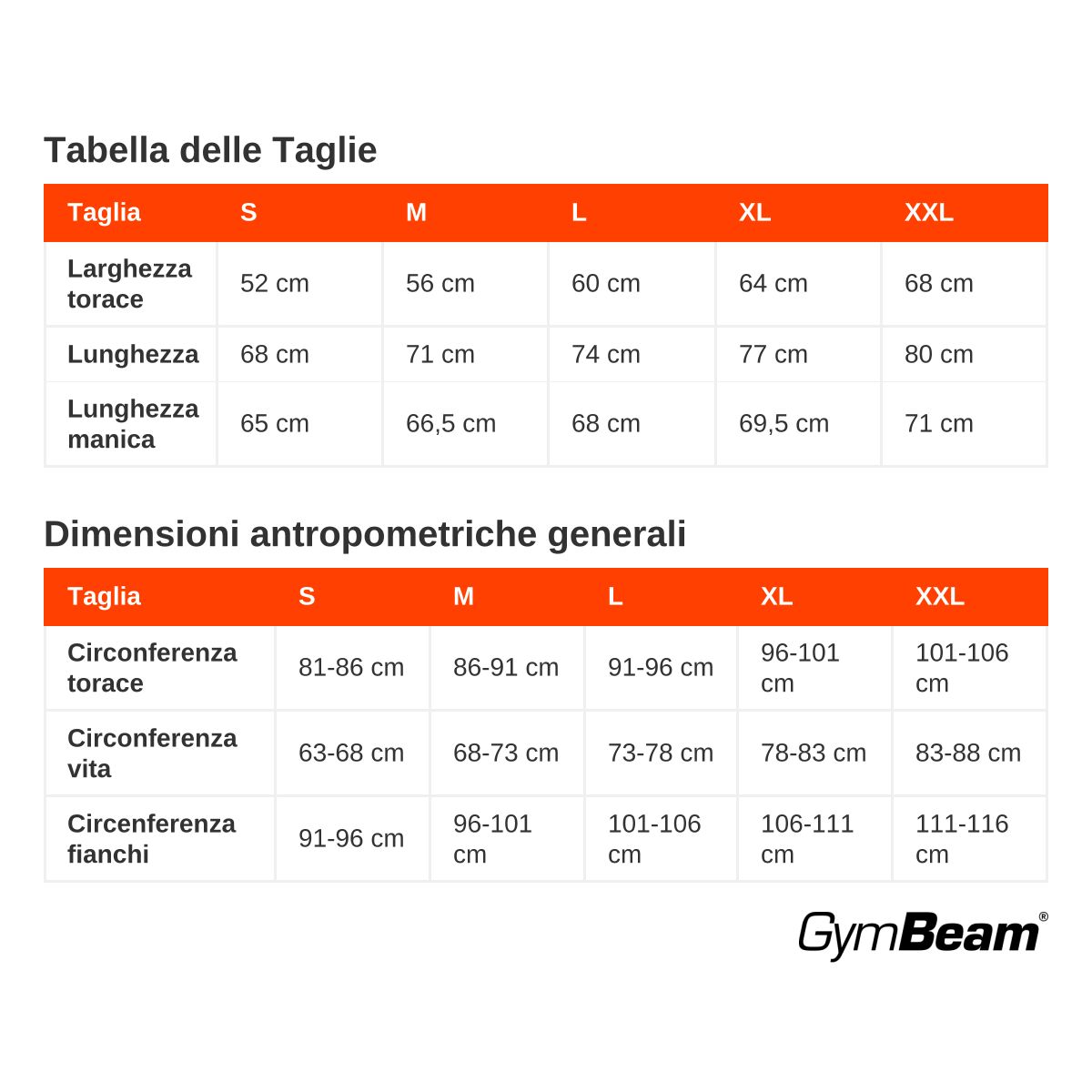 GymBeam Felpa uomo PRO senza cappuccio vestibilità morbida Moon Grey