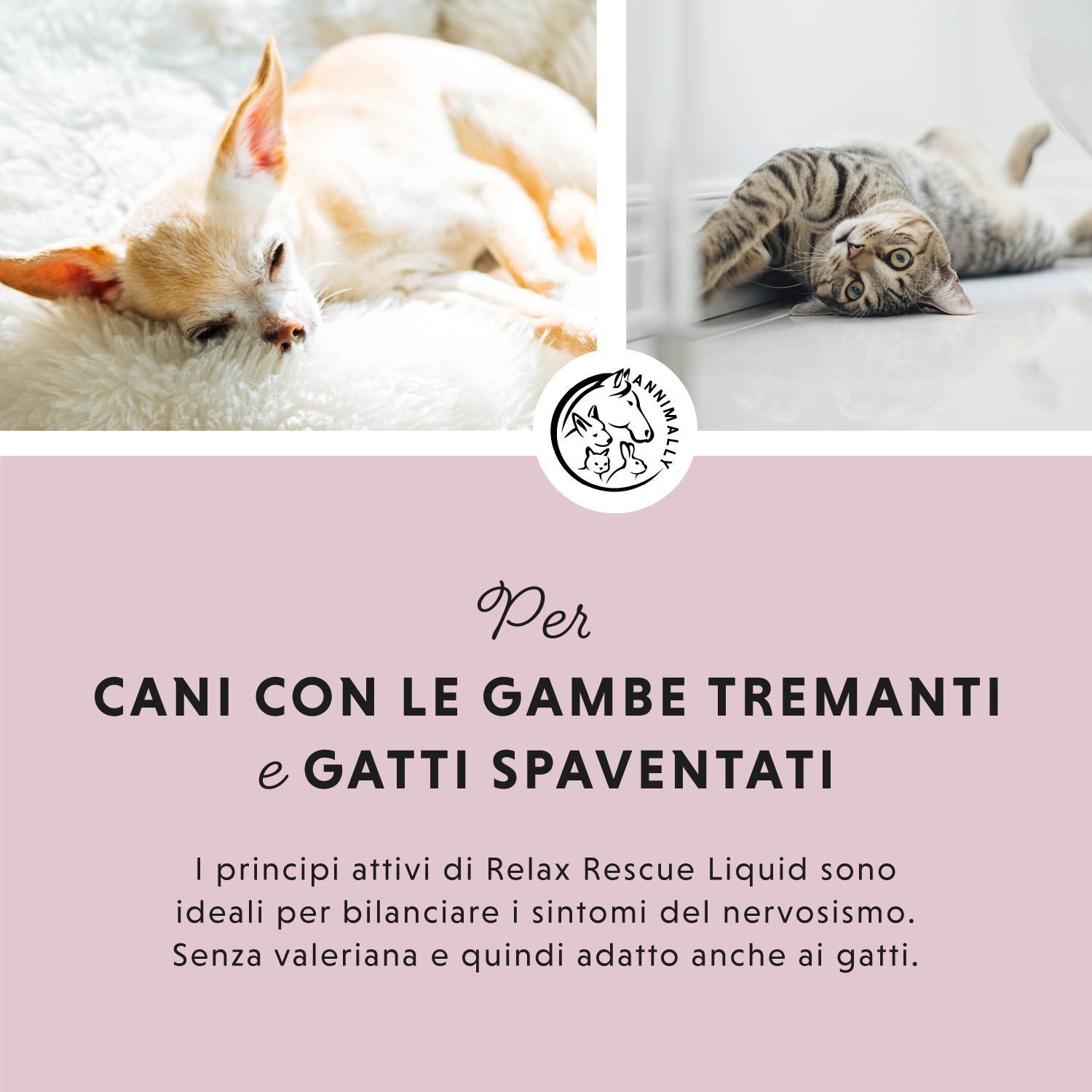Due foto: un cane e un gatto. Testo: Per cani tremanti e gatti spaventati. Testo sugli ingredienti.