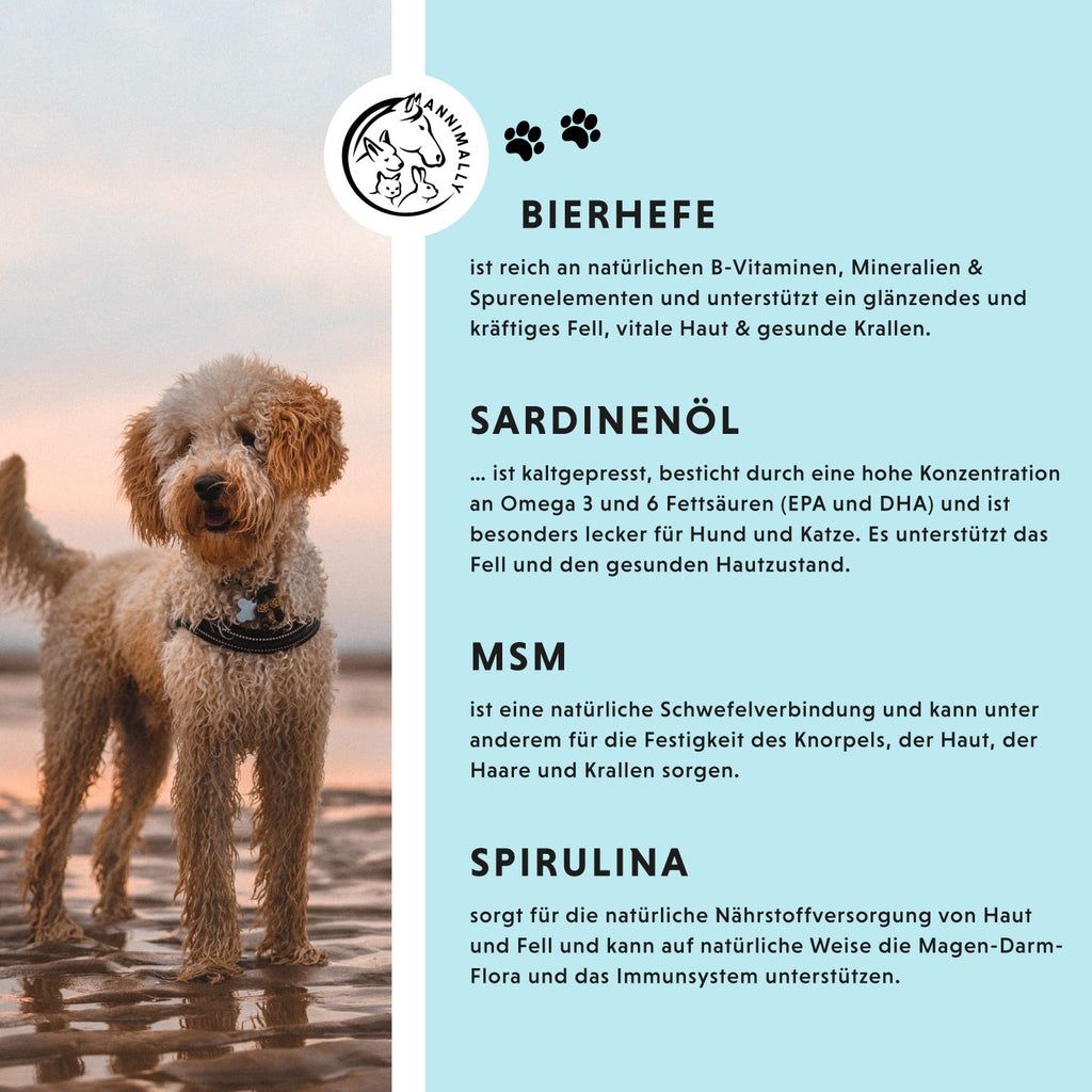 Testo su sfondo blu. Ingredienti: Lievito di birra, olio di sardine, MSM, spirulina. Immagine di cane sulla spiaggia.