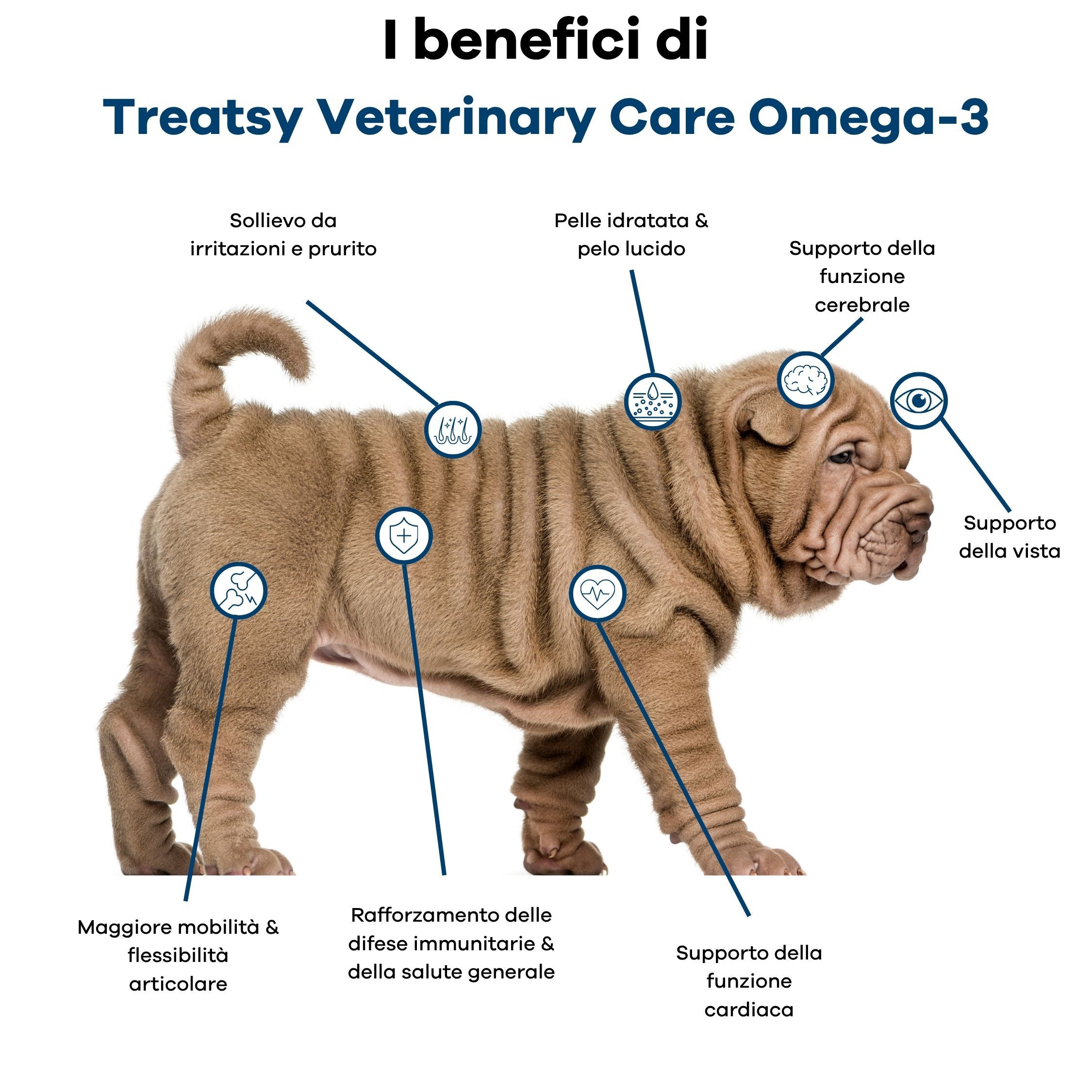 Un cucciolo di Shar-Pei è descritto con icone per sollievo da irritazioni, pelo lucido, funzioni cerebrali, visive, cardiache e articolari.