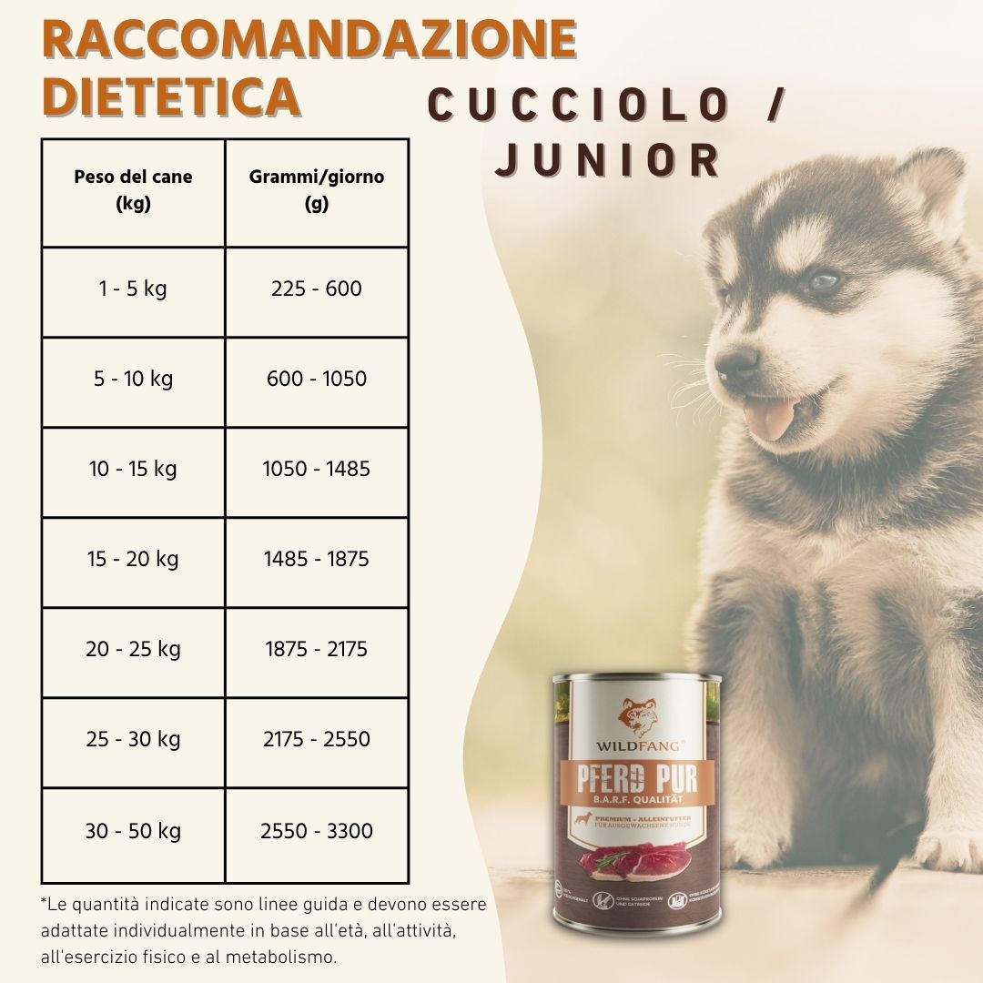 Wildfang - Junior Gourmet Box - Cibo secco e umido