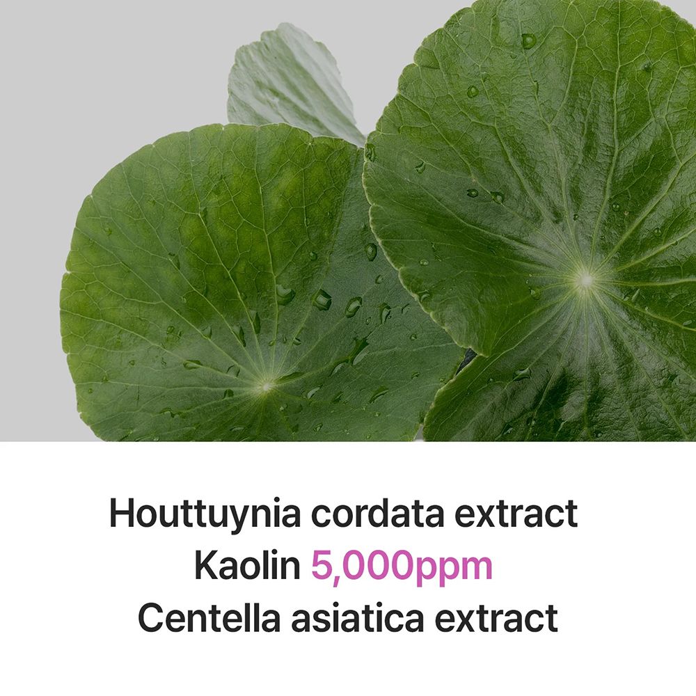 Foglie verdi con gocce. Testo: Houttuynia cordata extract, Kaolin 5,000ppm, Centella asiatica extract.