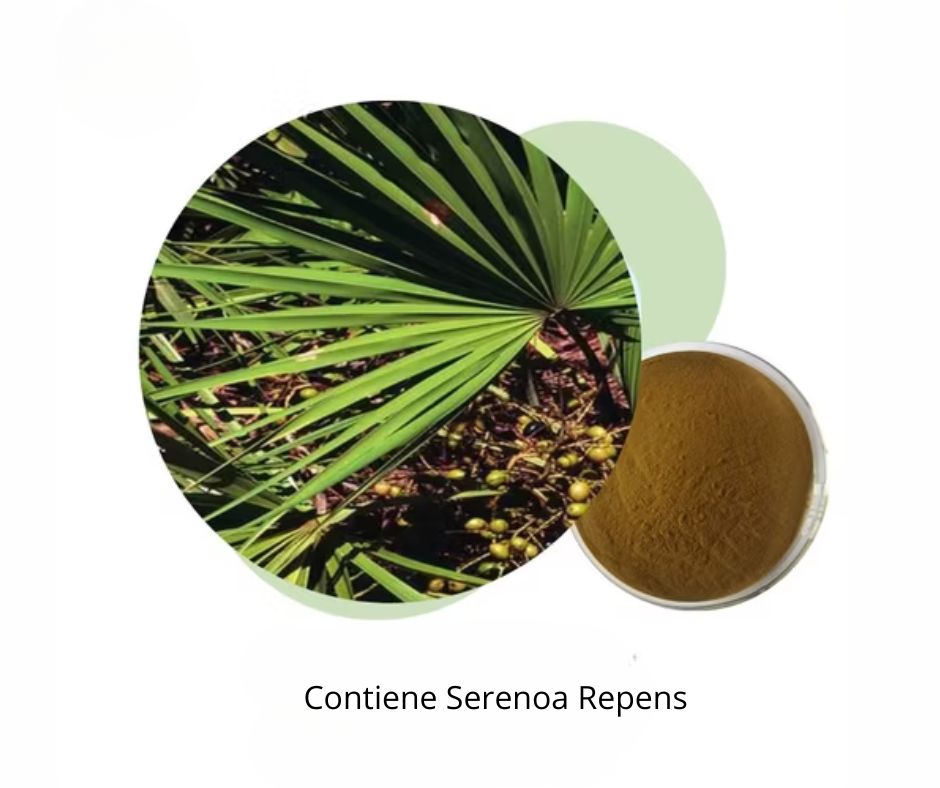 Immagine circolare di foglie e bacche. Accanto, una ciotola di polvere. Testo: Contiene Serenoa Repens.