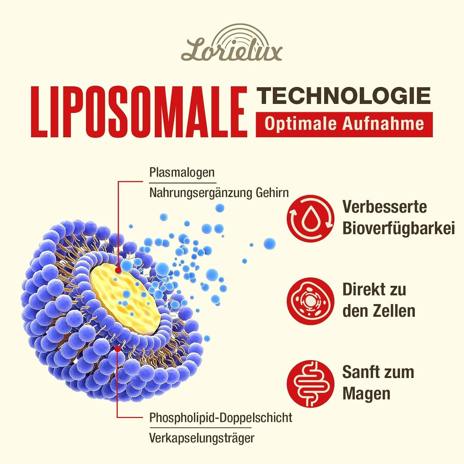 Capsule Nootropiche Liposomiali al Plasmalogeno Lorielux