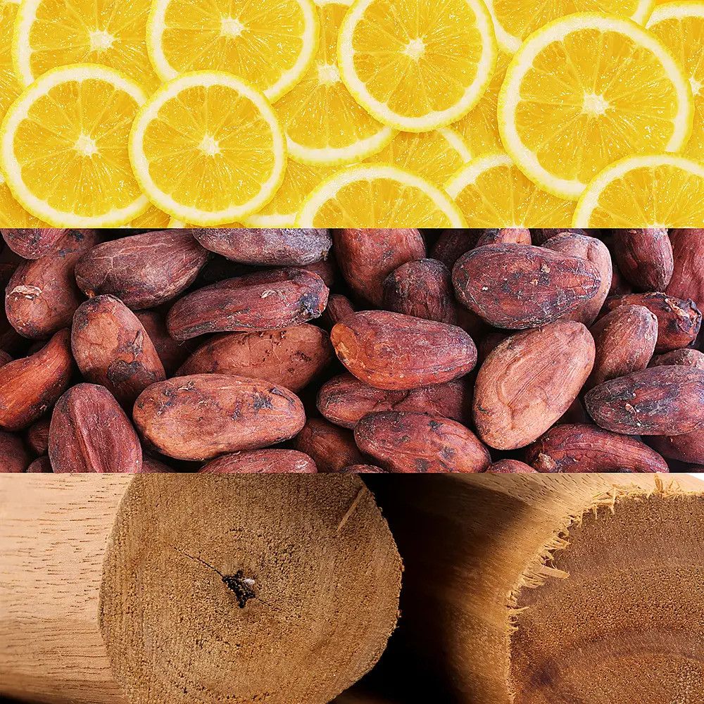 Tre strisce orizzontali: fette di arancia, fave di cacao, legno. Ingredienti naturali per profumo.