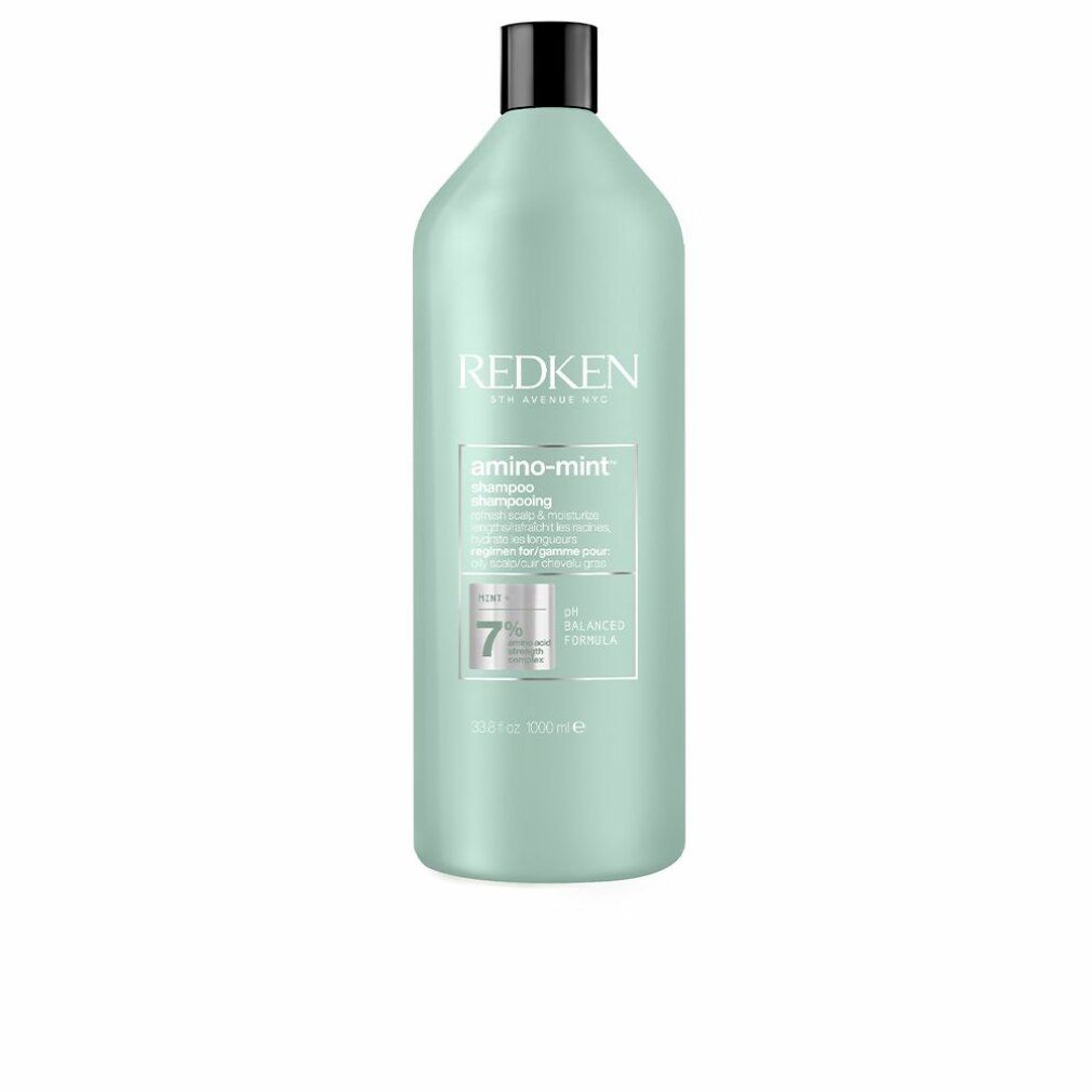 Flacone di shampoo verde chiaro con tappo nero. Scritta Redken, amino-mint Shampoo. pH 7.