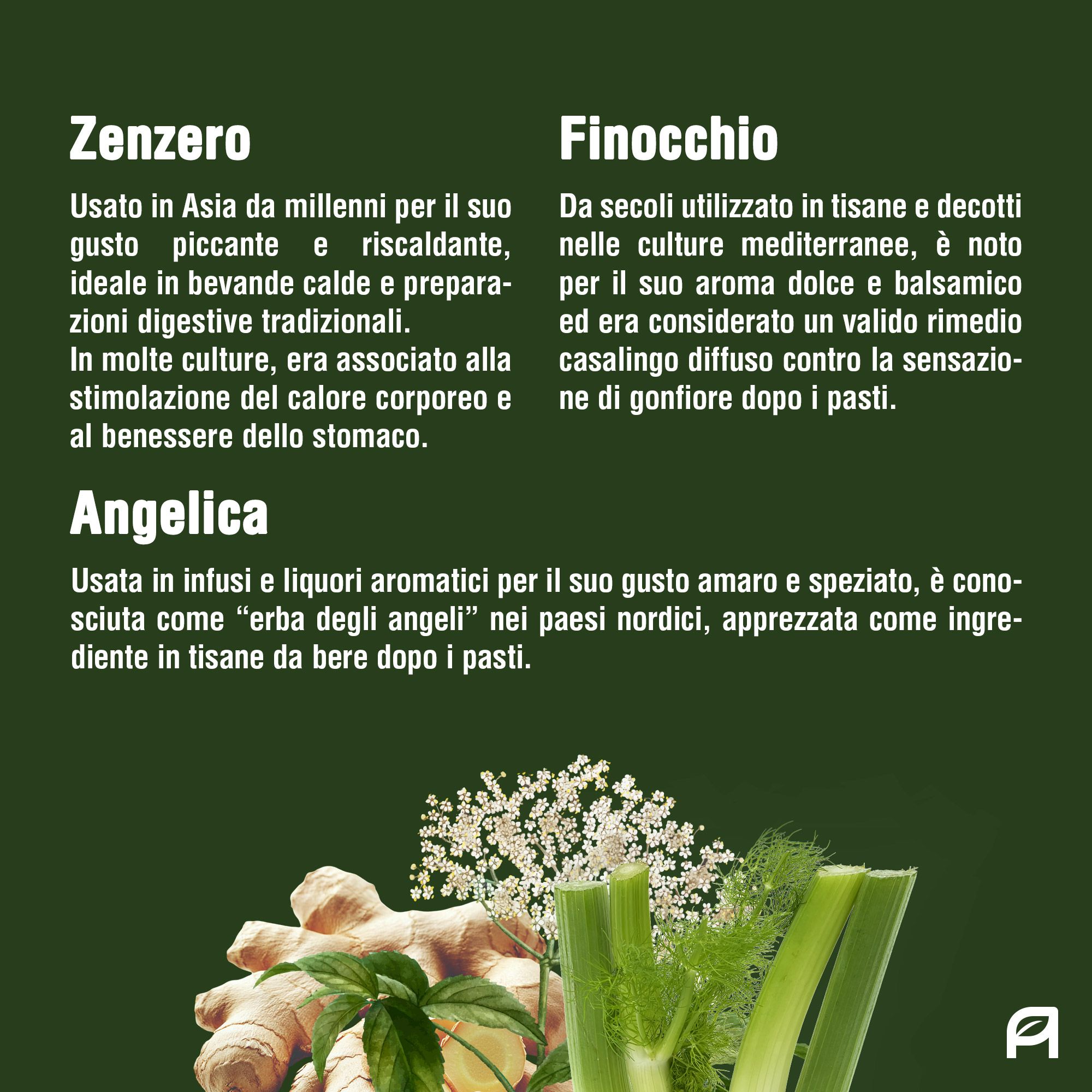 Vitativ® Vita Bitter | Integratore Amaro Forte, 9 Estratti da Piante con Carciofo, Genziana, Zenzero