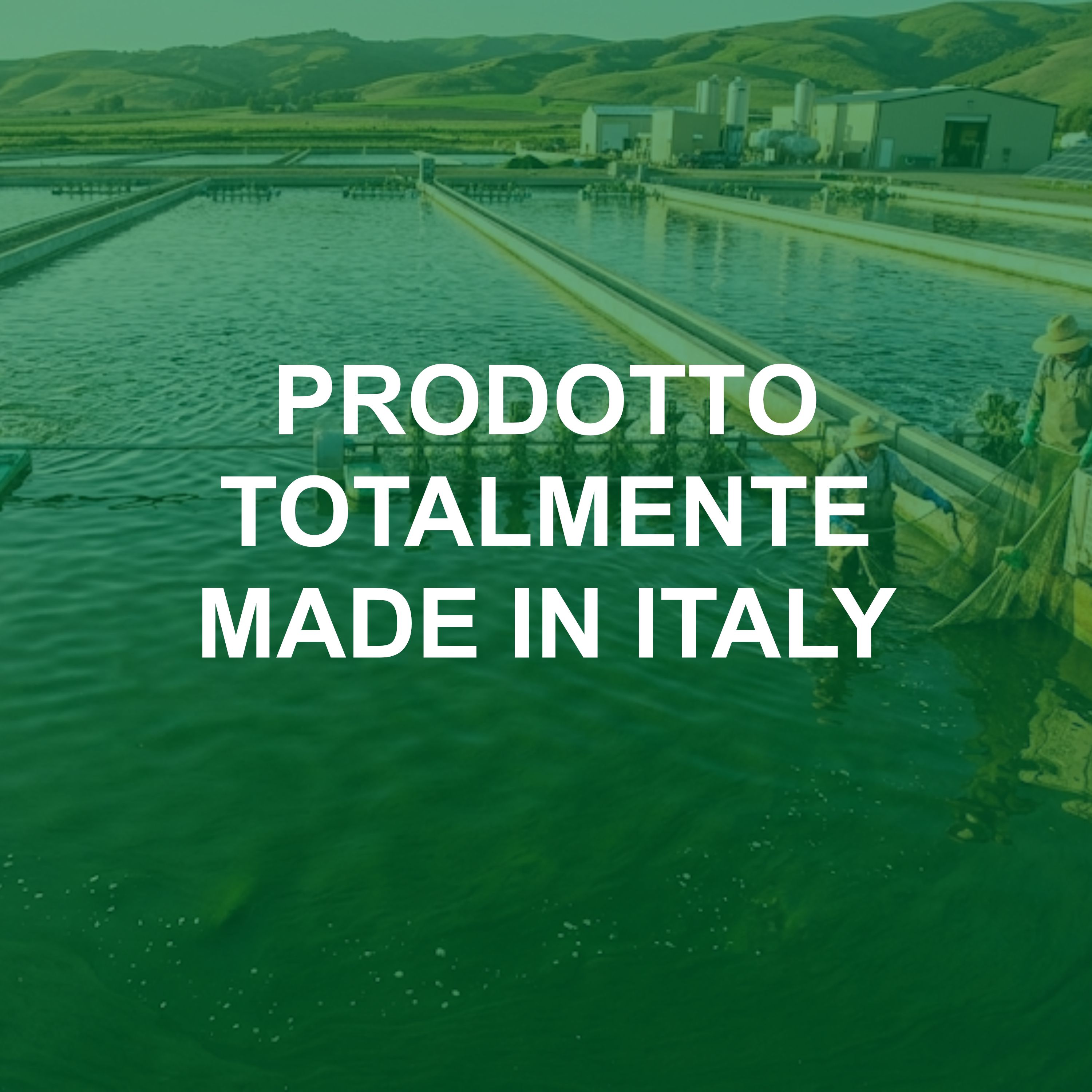 Ellecì Farma - Iposid Spirulina Pura 99,9% Supporto Vitalità e Stress Fisico Mentale 30 cpr