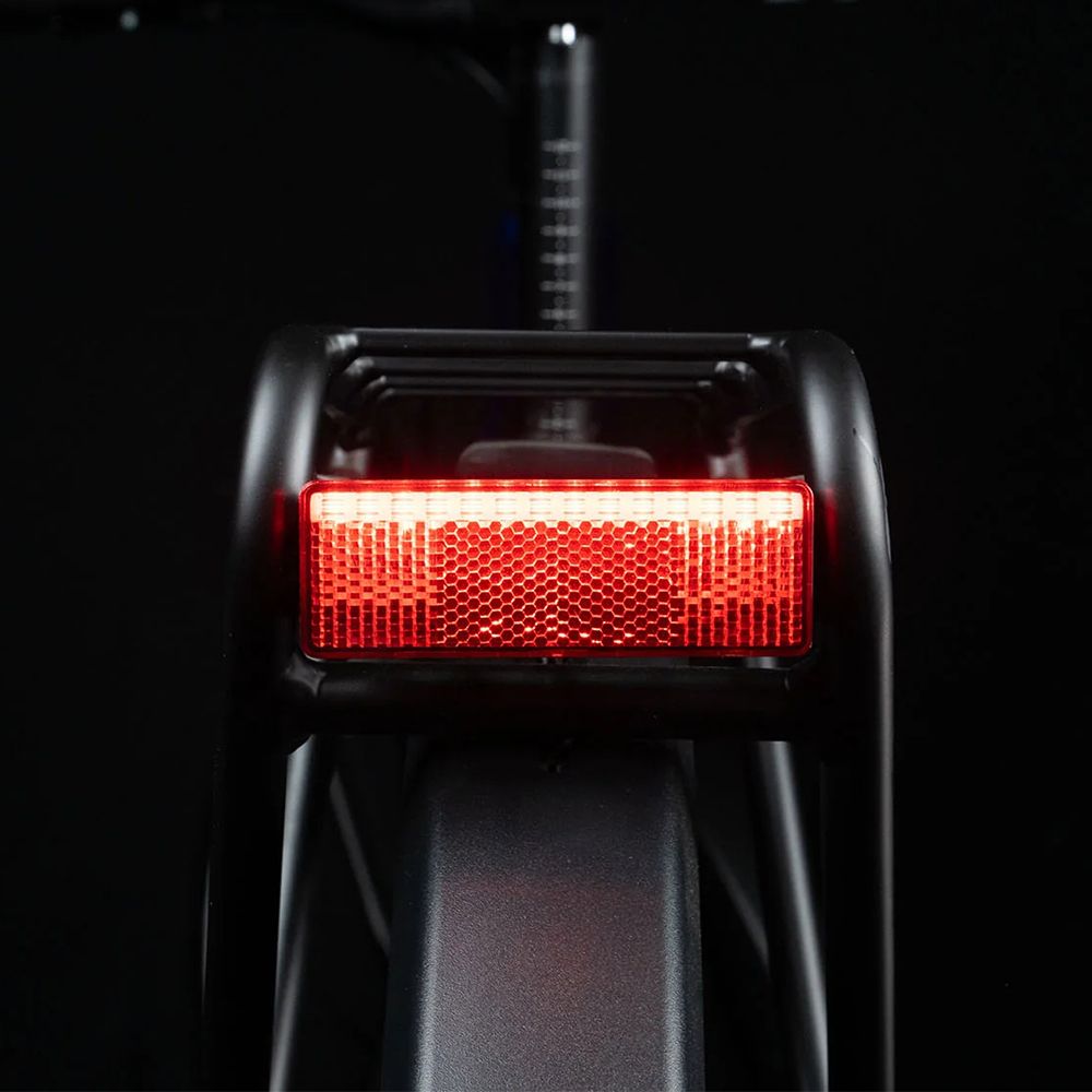 Vista posteriore della e-bike nera. Fanale posteriore rosso sul portapacchi.