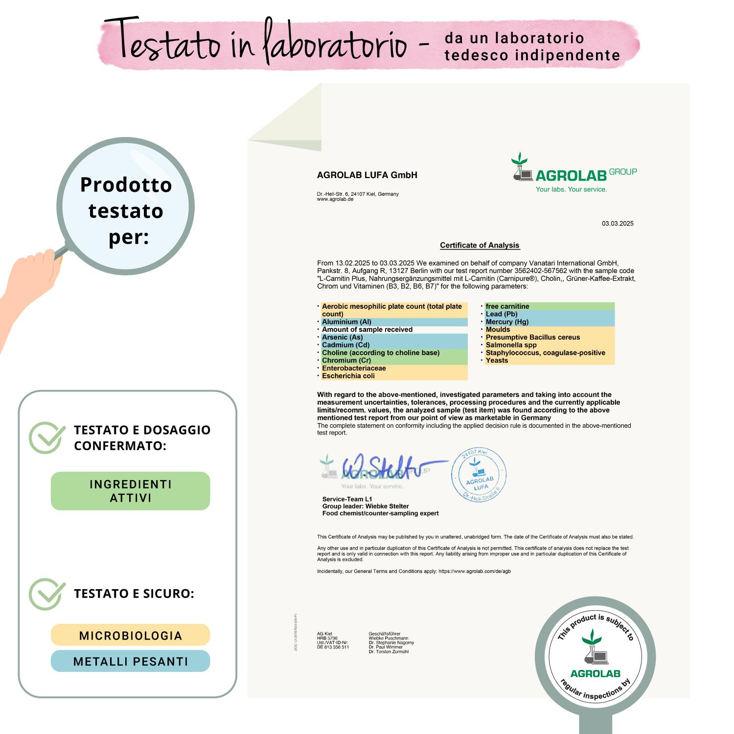 VEGAVERO L-Carnitina Plus