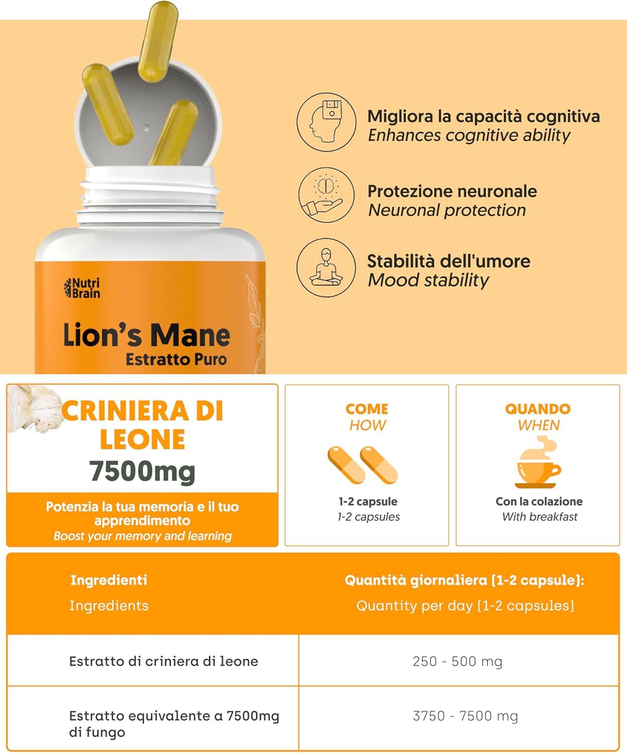 Flacone Nutri Brain Lion's Mane Estratto Puro. 50% polisaccaridi, estratto 15:1, equivale a 7.500mg fungo.