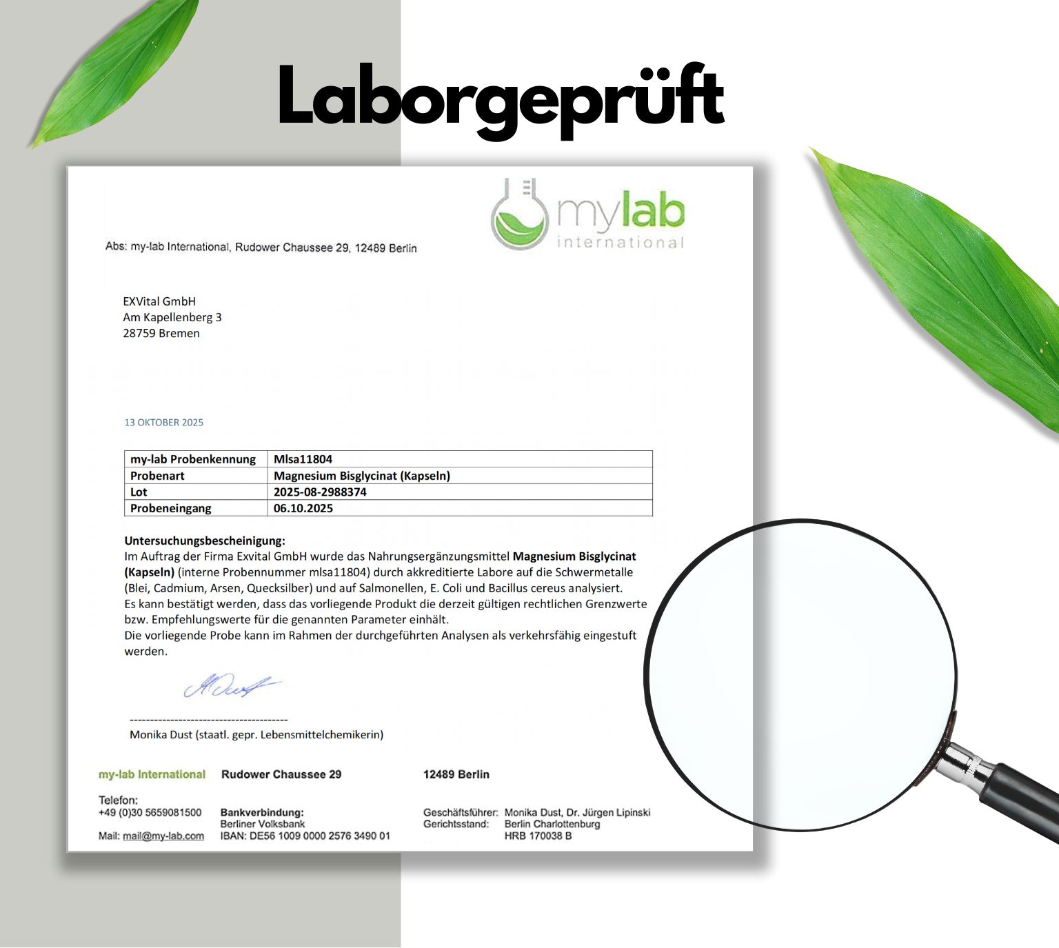 Rapporto di laboratorio con lente d'ingrandimento. Testo: mylab international. Prodotto: Magnesio Bisglicinato (capsule). Testato per metalli pesanti.