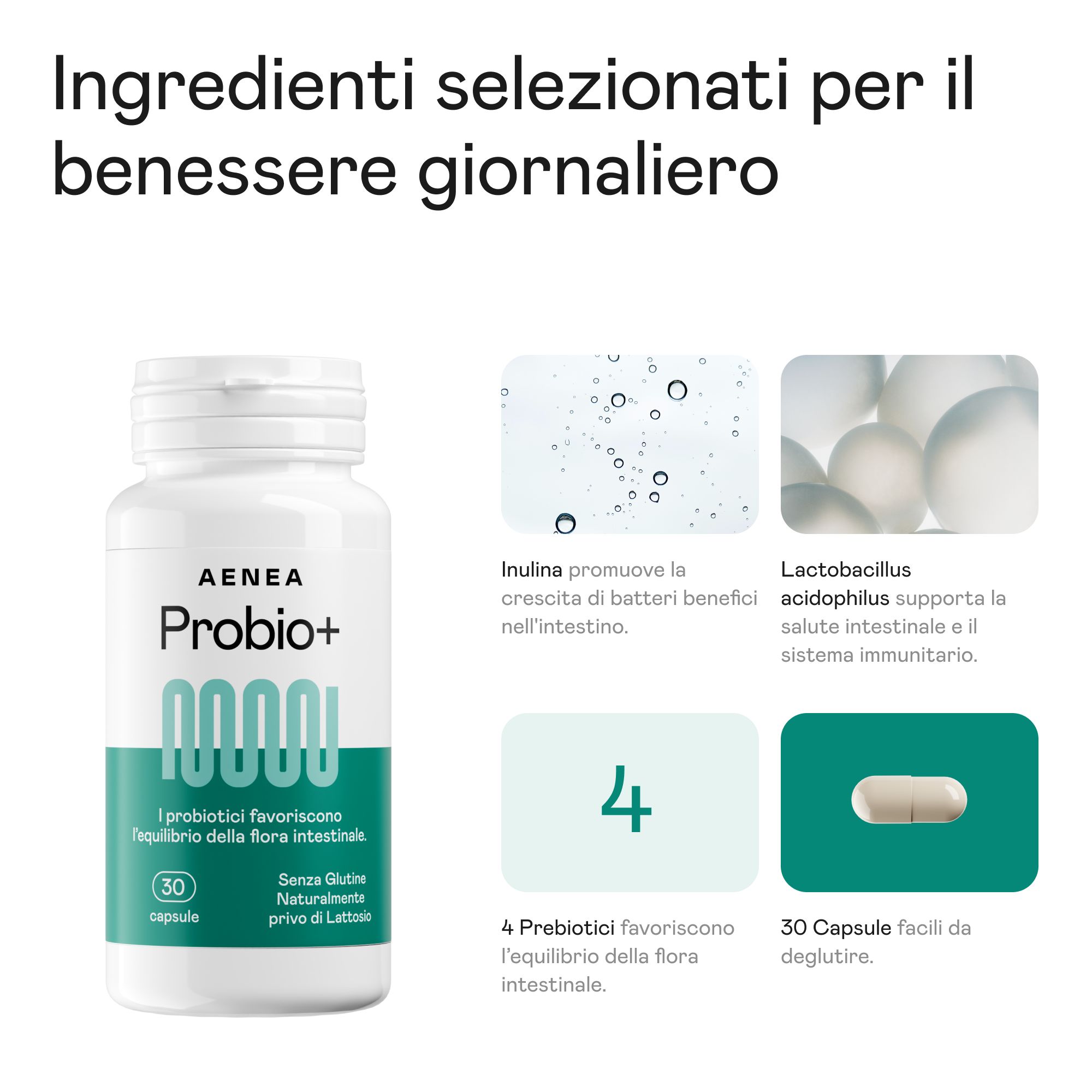 Flacone Aenea Probio+ e illustrazioni ingredienti: Inulina, Lactobacillus, 4 prebiotici, 30 capsule. Senza glutine, senza lattosio.