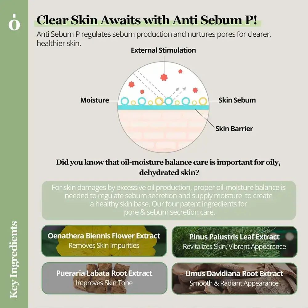 Infografica sulla cura della pelle. Diagramma degli strati cutanei. Testo: Anti Sebum P regola la produzione di sebo. Vengono citati quattro ingredienti.