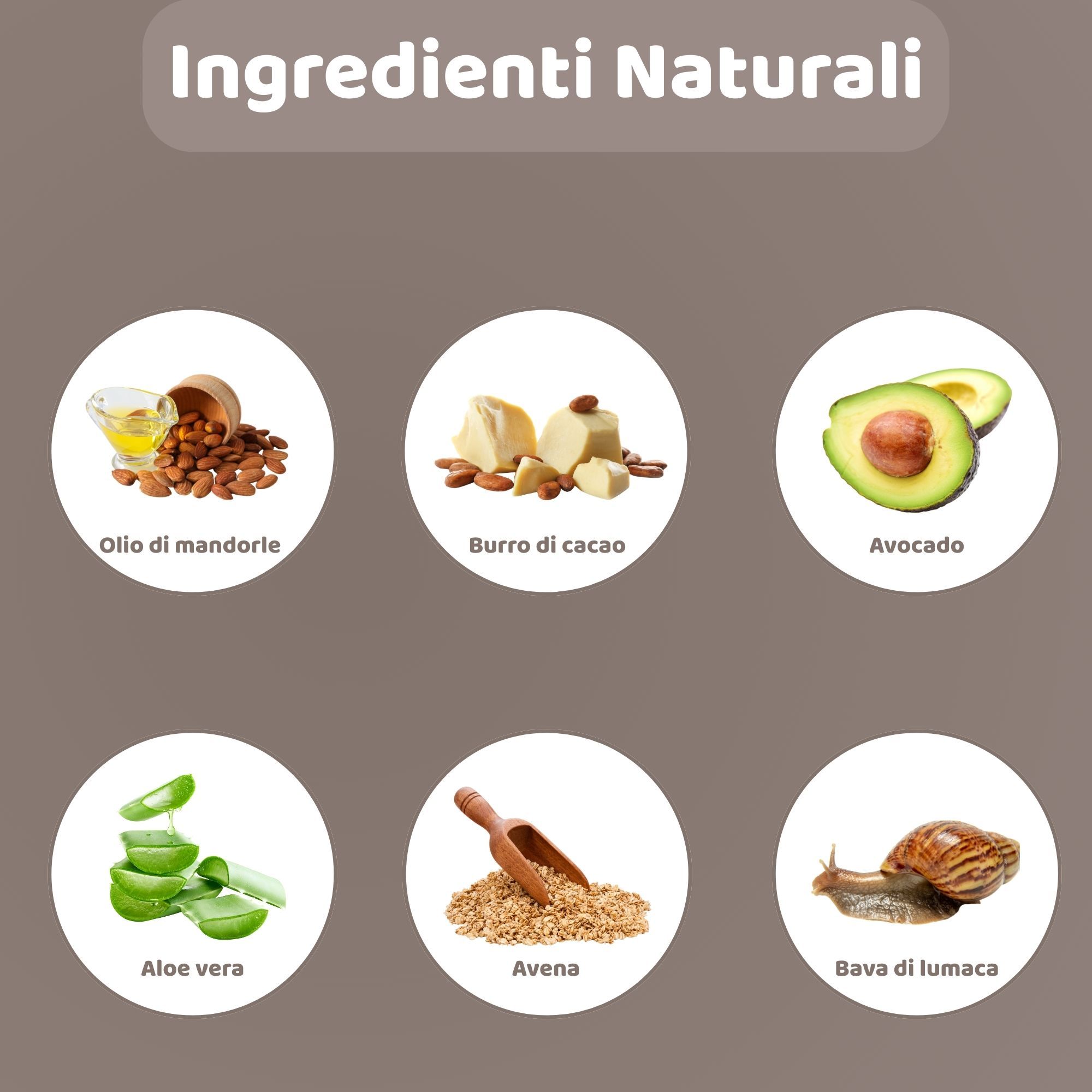 Illustrazione di un cane. Testo: Come si usa. Passaggi: lavare, applicare, massaggiare, usare quotidianamente.