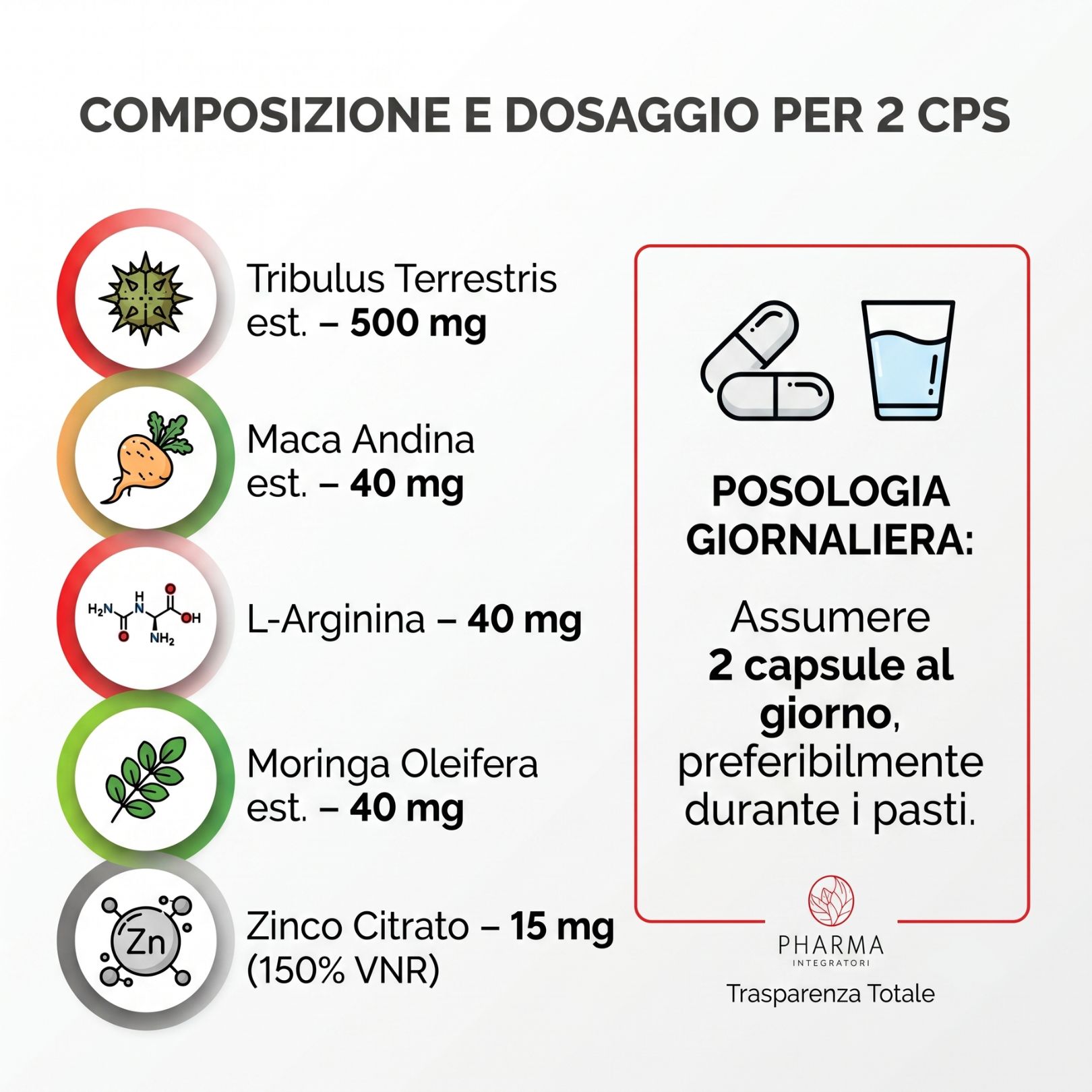 Composizione e dosaggio: Tribulus Terrestris 500mg, Maca, L-Arginina, Moringa, Zinco. 2 capsule al giorno.