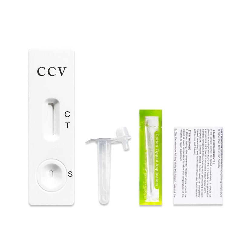 Striscia reattiva, provetta, tampone e foglietto illustrativo. Striscia con CCV, C, T, S. Tampone in confezione verde.