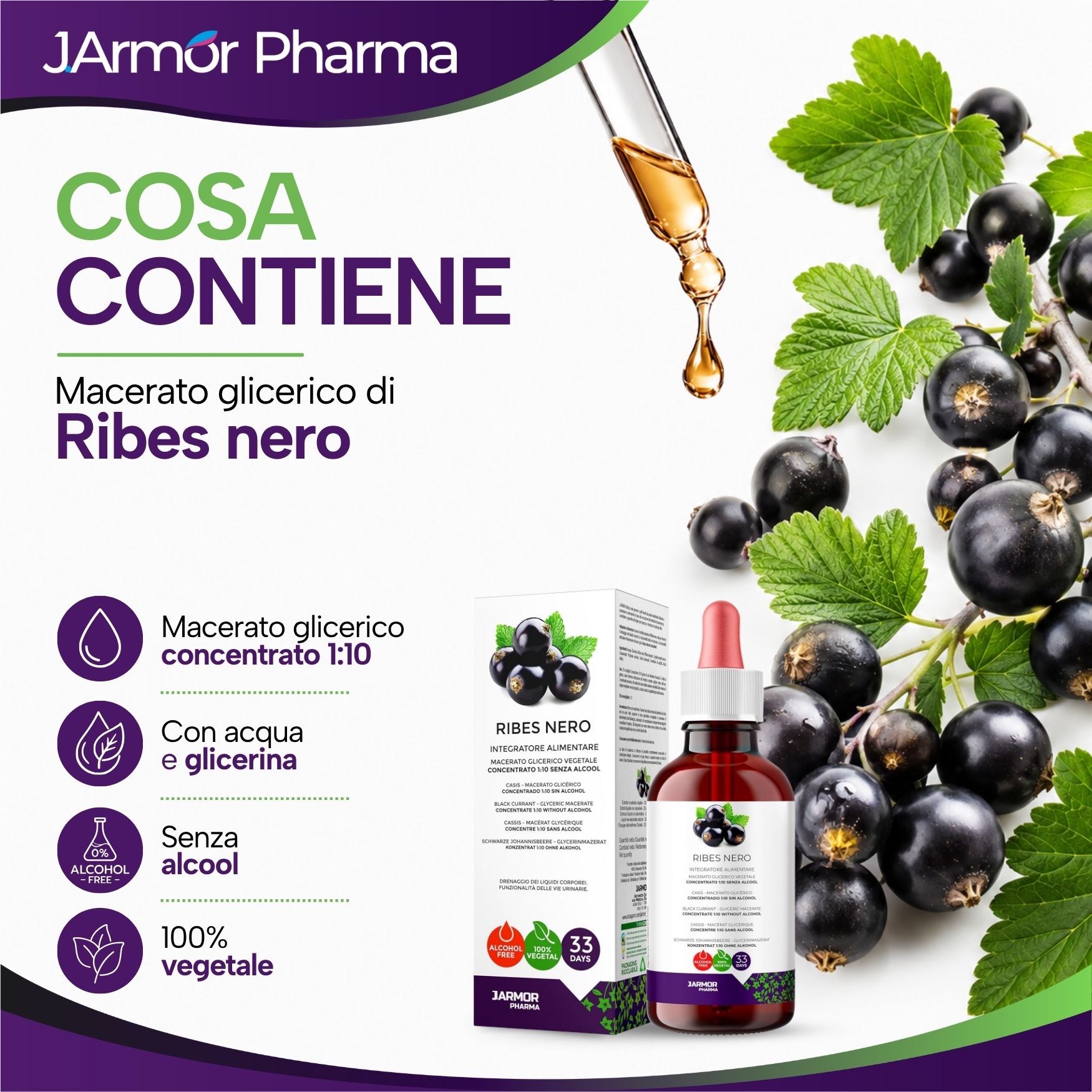 Flacone e scatola di gocce di ribes nero, con contagocce e bacche.