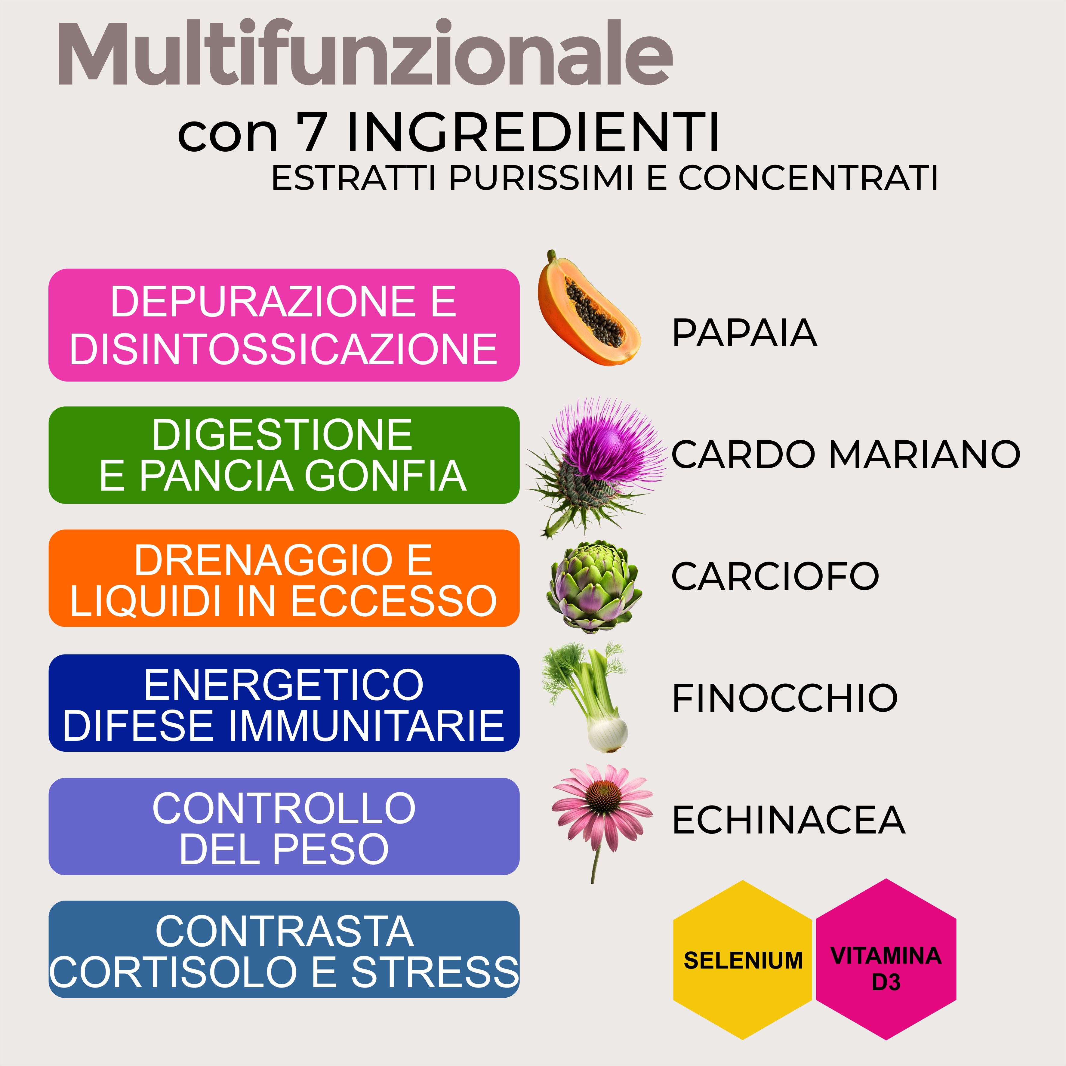 Infografica con 7 ingredienti e i loro benefici. Papaya, cardo mariano, carciofo, finocchio, echinacea.