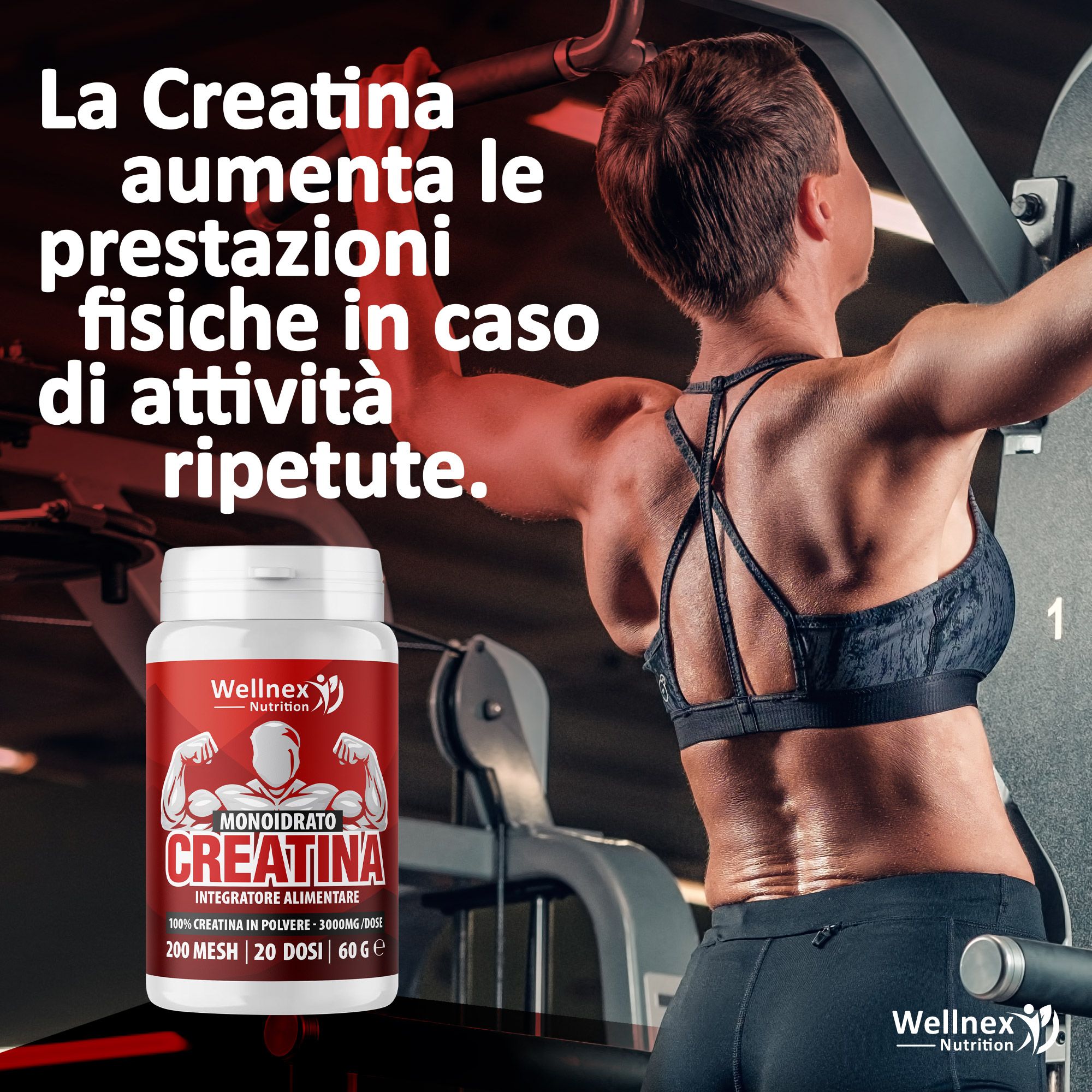 Wellnex Nutrition - Creatina Monoidrato Micronizzata | Pura in Polvere | 200 Mesh
