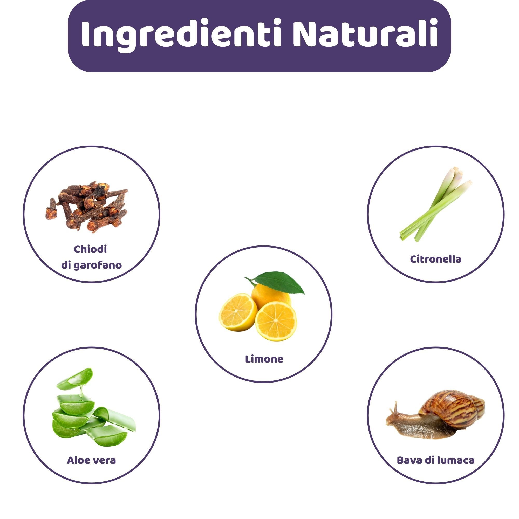 Grafica con ingredienti: chiodi di garofano, limone, aloe vera, citronella e bava di lumaca. Titolo: Ingredienti Naturali.