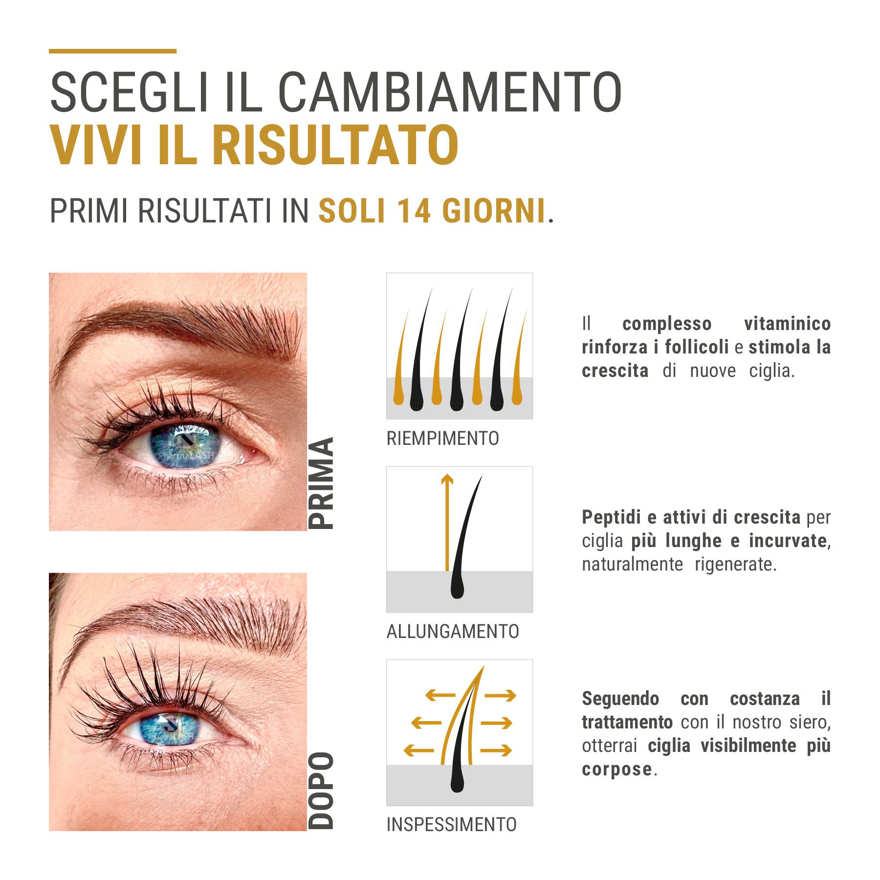 Confronto occhi con ciglia corte e lunghe. Grafici mostrano ispessimento, allungamento e densità delle ciglia. Testo in italiano.