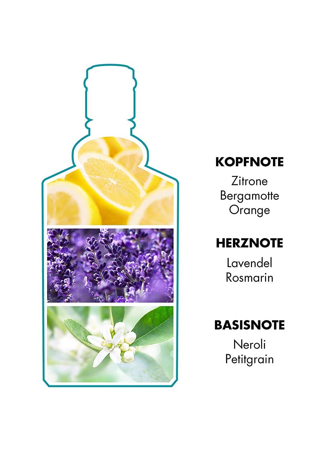 Rappresentazione grafica di un flacone con limoni, lavanda e fiori. Testo: Nota di testa, Nota di cuore, Nota di fondo. Sfondo bianco.