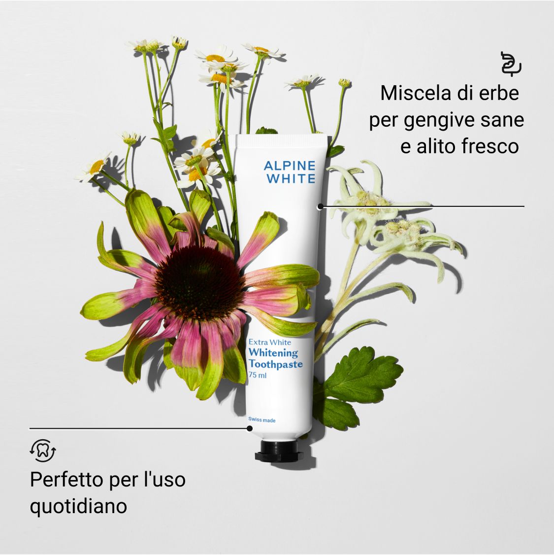Tubo di dentifricio con fiori. Testo: Miscela di erbe per gengive sane e alito fresco.