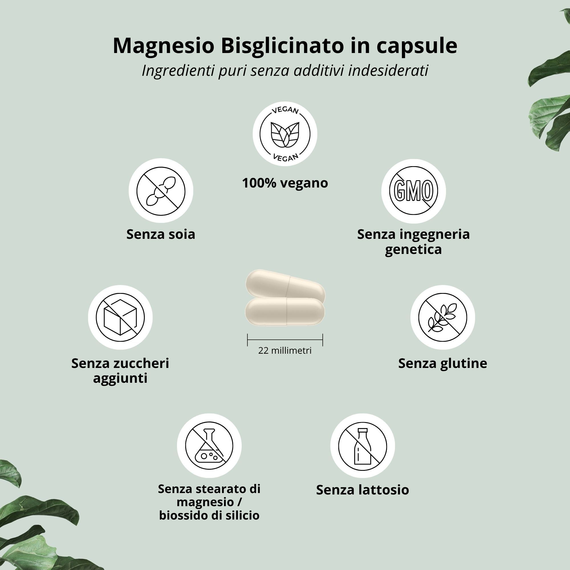 Due capsule, lunghe 22 mm. Testo: 100% vegano, senza zuccheri aggiunti, senza soia, senza OGM, senza glutine, senza stearato di magnesio/biossido di silicio, senza lattosio.
