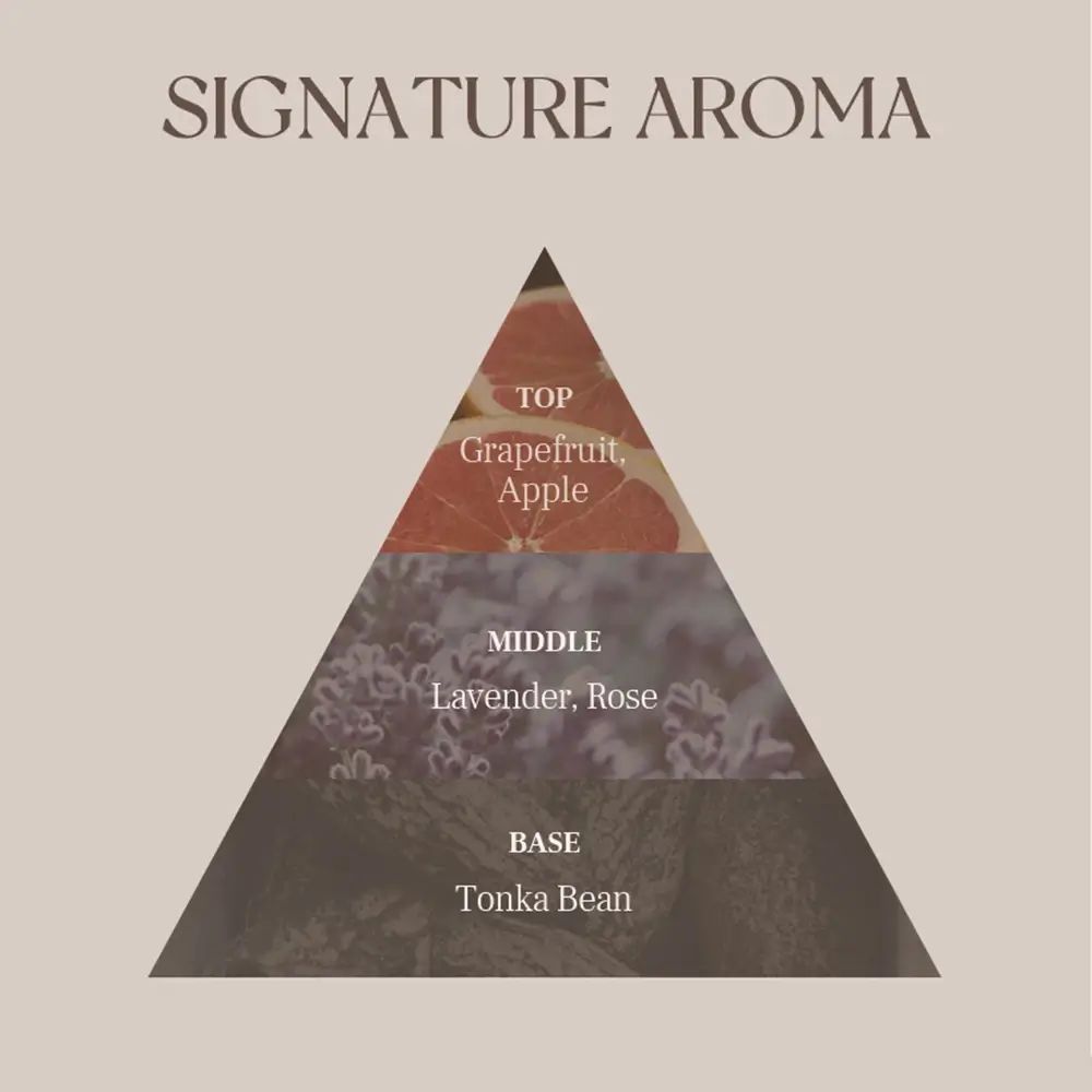 Piramide olfattiva con note di pompelmo, mela, lavanda, rosa e fava tonka.