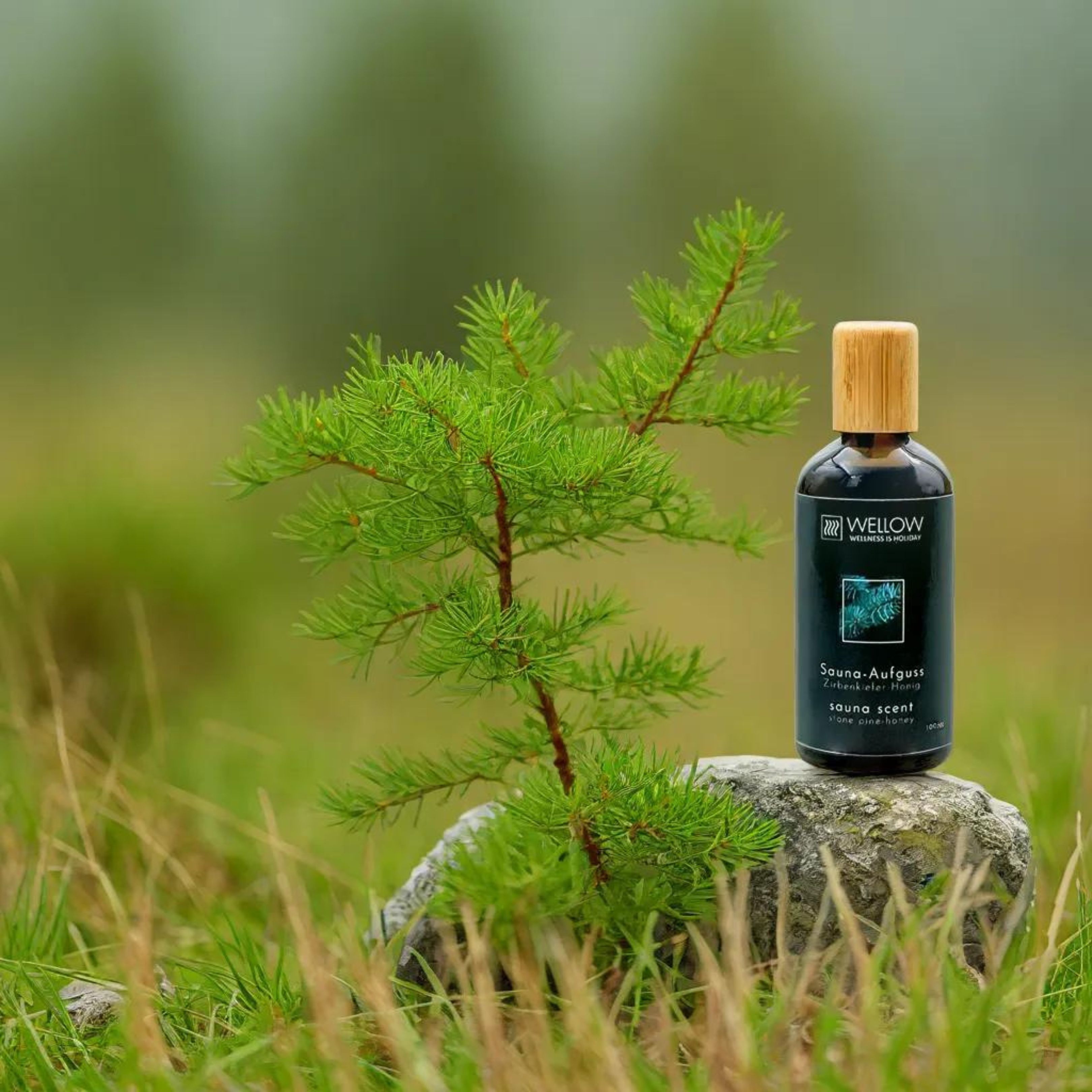 Flacone marrone con tappo in legno su una pietra. Scritta: Sauna-Aufguss. Piccolo albero sullo sfondo.
