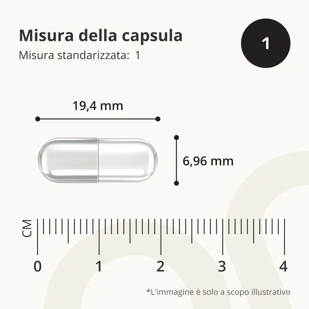 Capsula con misure. Dimensioni: 19,4 mm x 6,96 mm. Misura standardizzata: 1. Scala in mm.