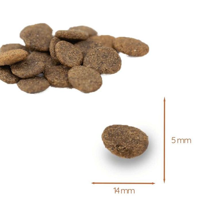 Crocchette per cani. Dimensioni: 14 mm x 5 mm. Un singolo croccantino accanto a un gruppo di croccantini.