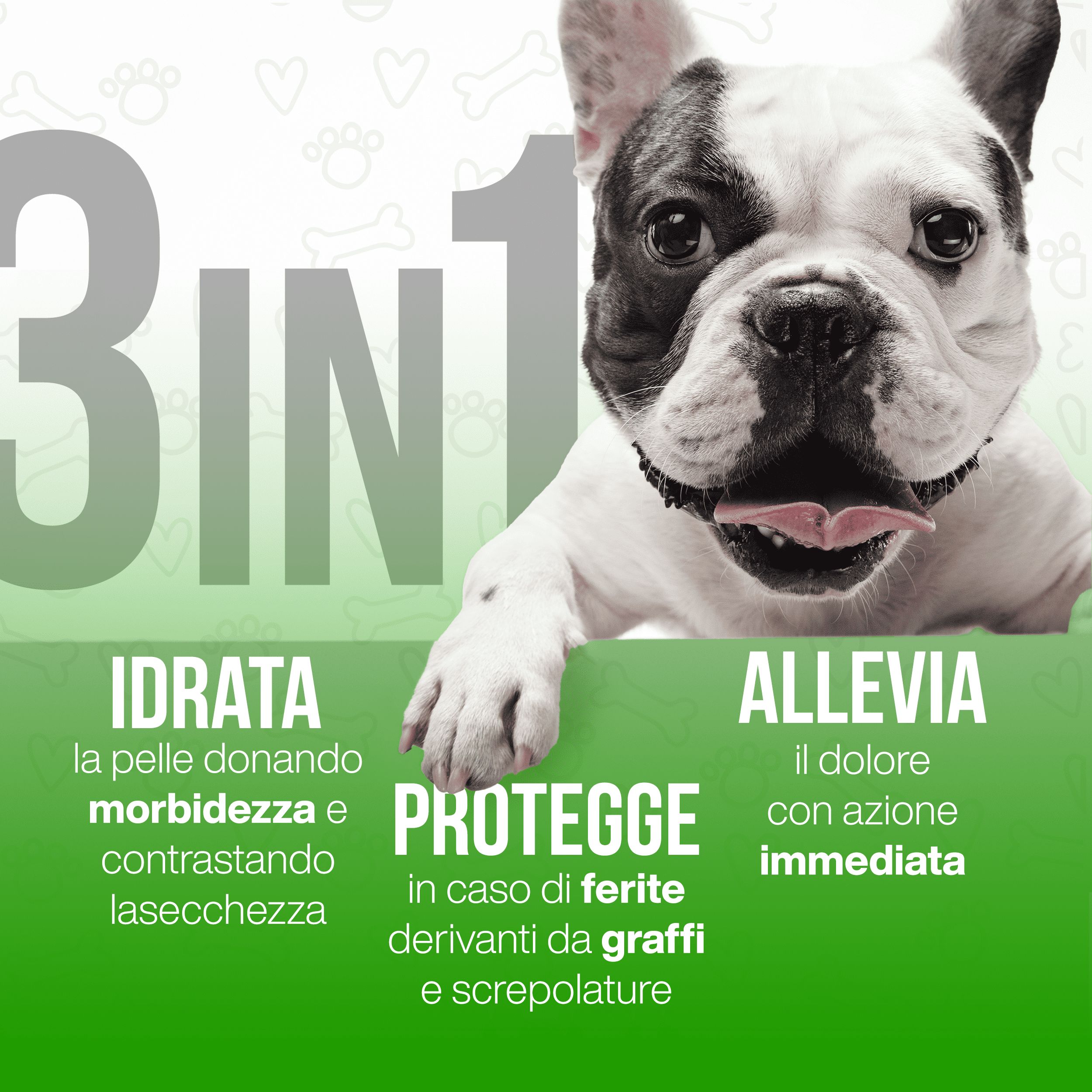 Bouledogue francese con testo: 3 in 1, IDRATA, ALLEVIA, PROTEGGE. Scritta in italiano.