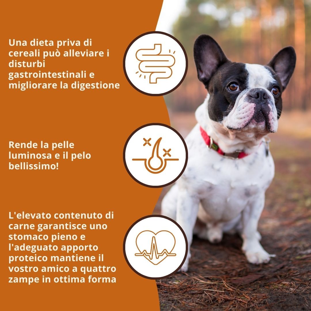 Cane con testo: Una dieta senza cereali può alleviare i disturbi gastrointestinali. La pelle e il pelo brillano. Alto contenuto di carne.