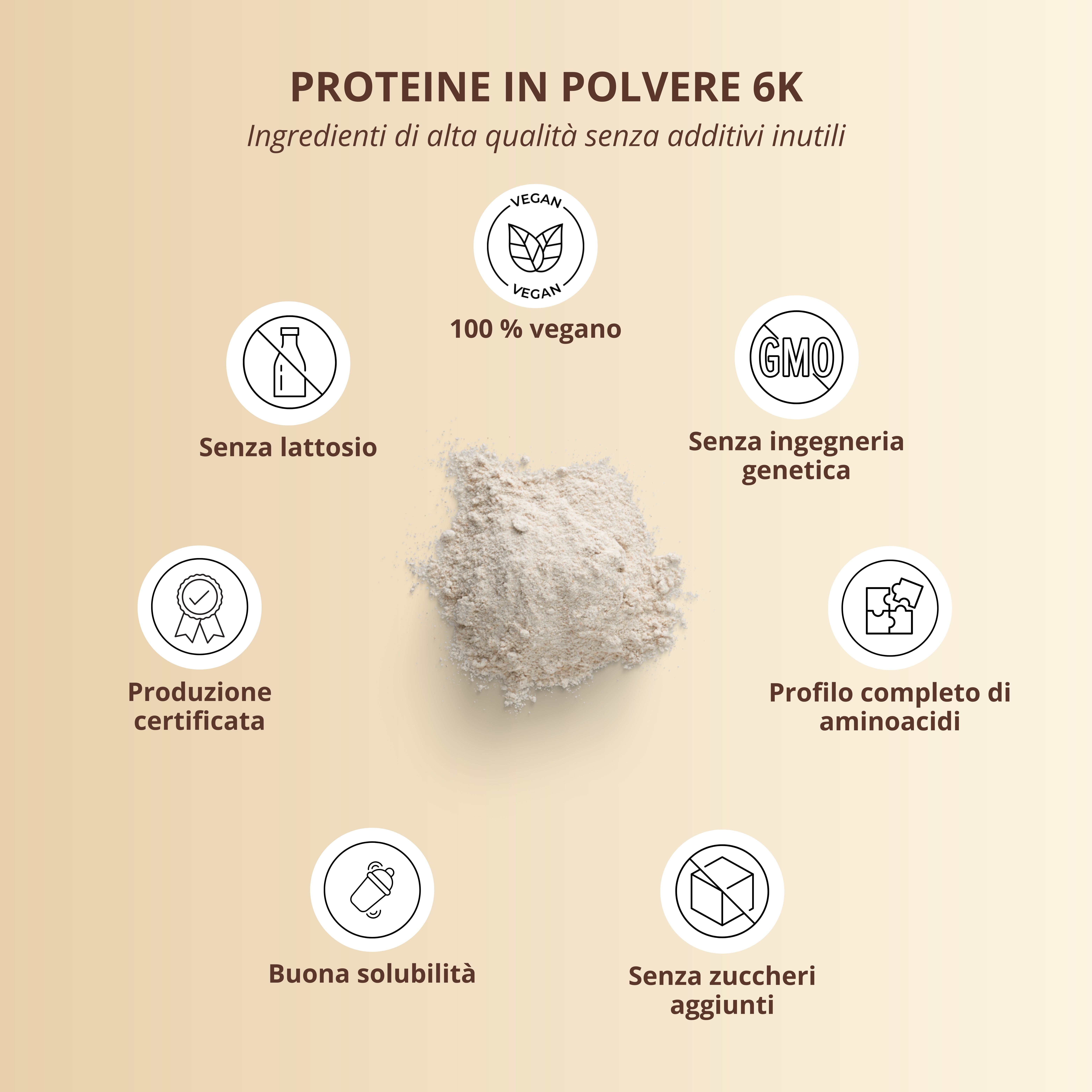 Rappresentazione circolare delle caratteristiche del prodotto. Contiene simboli per vegano, senza lattosio, senza OGM, ecc. Testo: 6K Proteine in polvere.