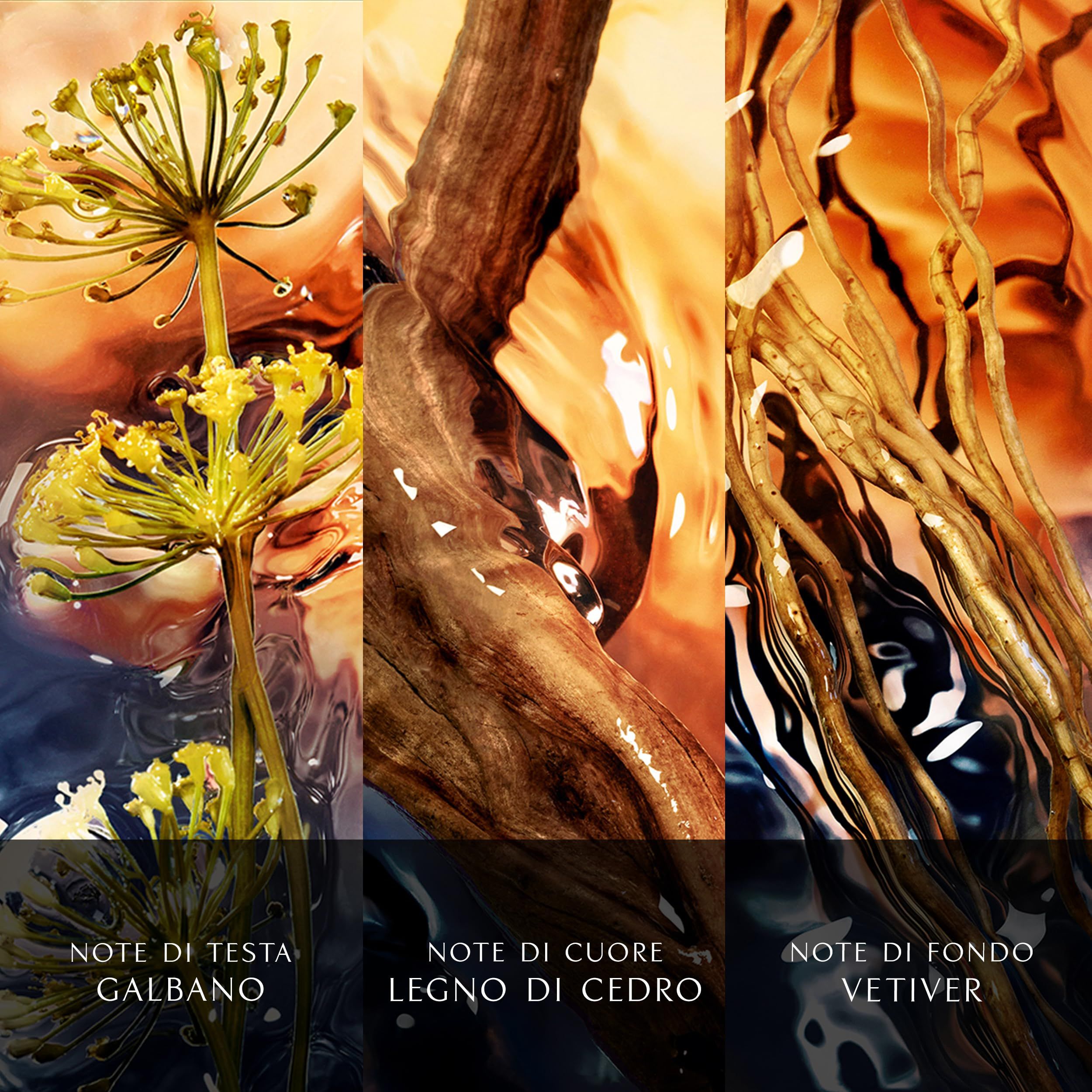 Tre immagini di ingredienti. Galbano, legno di cedro, vetiver. Testo: Note di Testa, Note di Cuore, Note di Fondo.