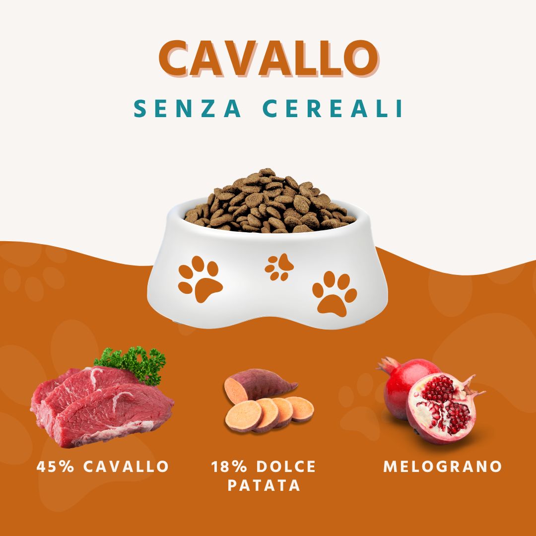 Wildfang - Adult Gourmet Box - Cibo secco