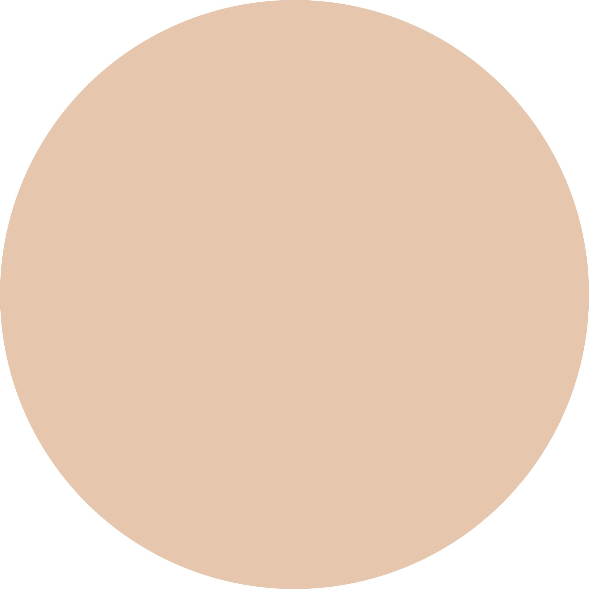 WYCON cosmetics skin in love 05 neutral