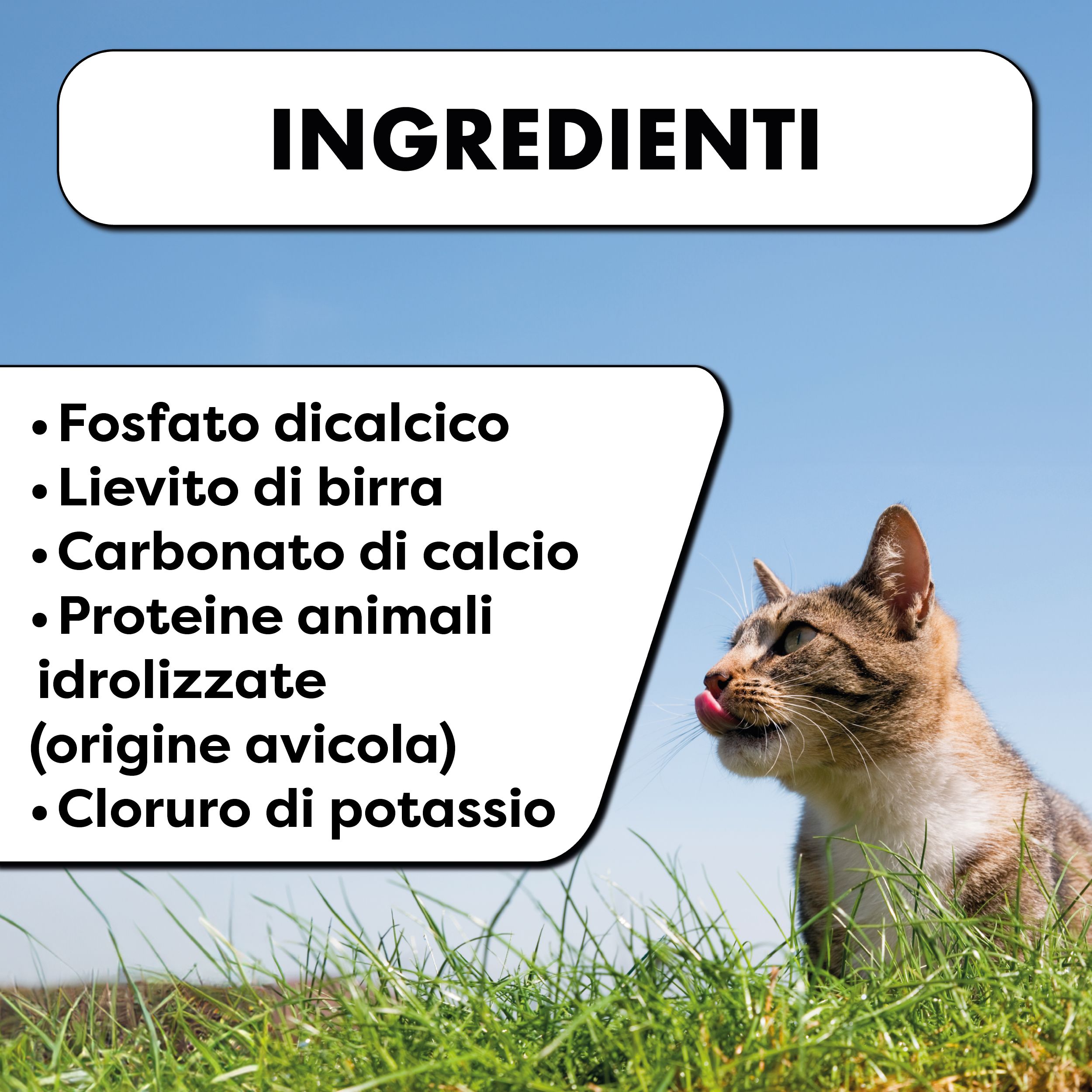 Gatto con la lingua di fuori. Testo: Ingredienti: fosfato bicalcico, lievito di birra, carbonato di calcio, proteine animali idrolizzate.