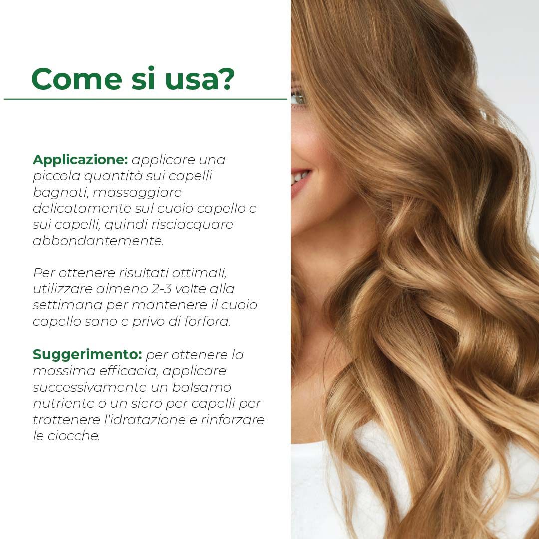 Istruzioni per l'uso di Biostile Shampoo Therapy. Capelli biondi.